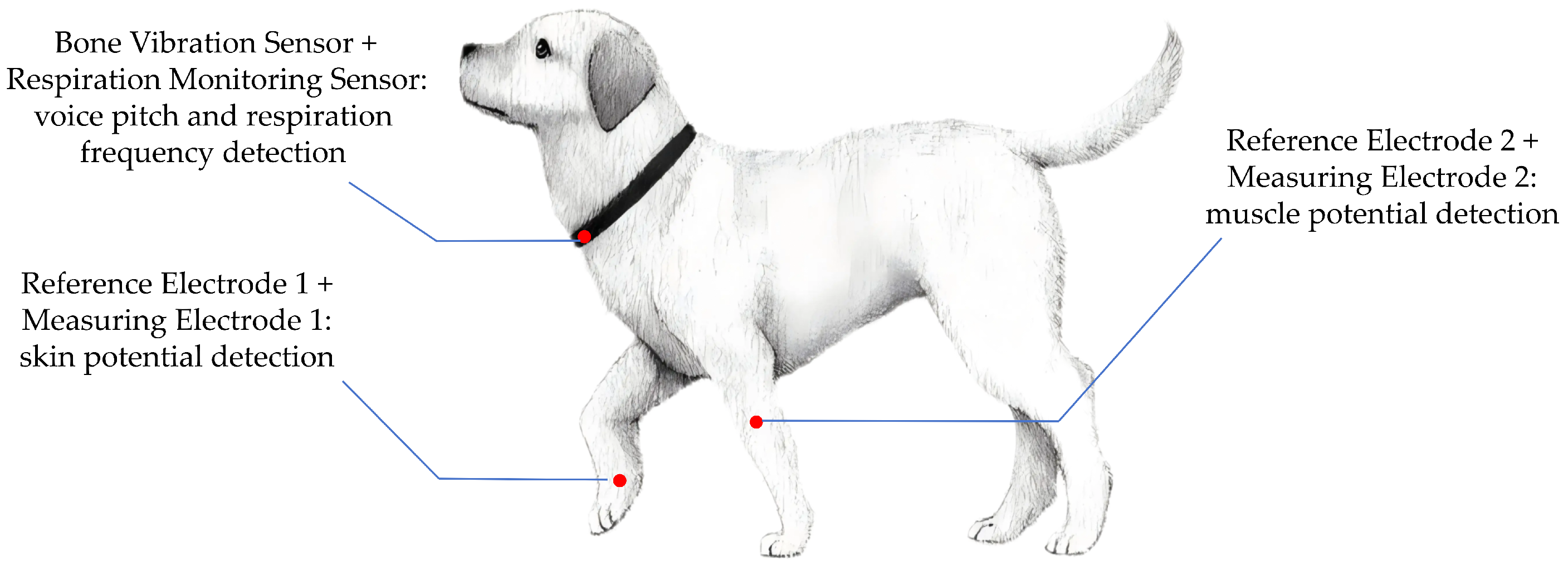 Animals 15 01984 g001