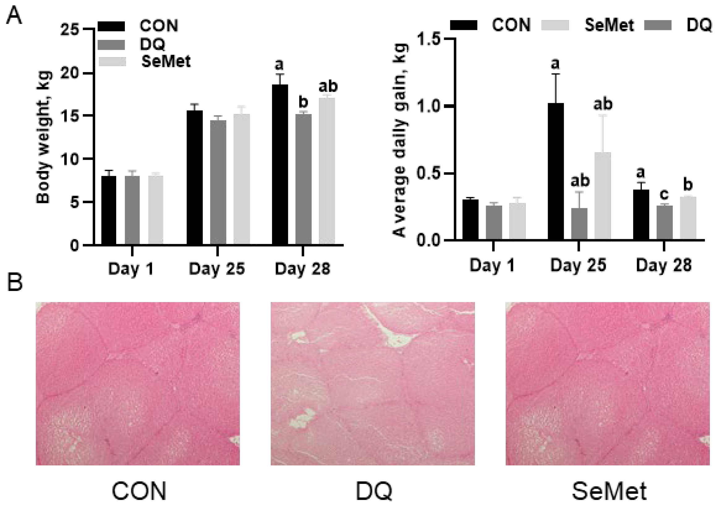 Animals 15 01989 g001