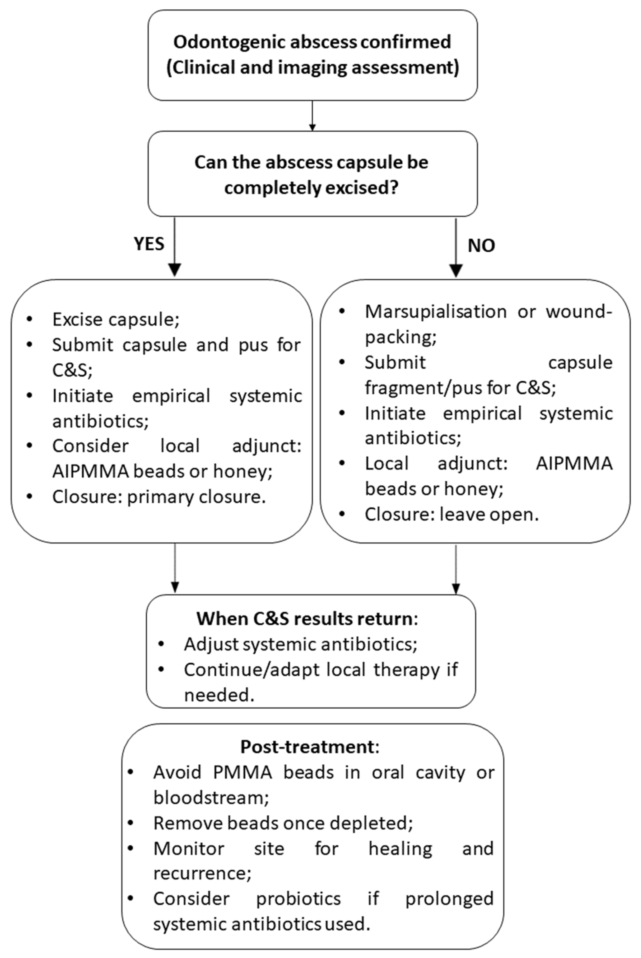 Animals 15 01994 g003