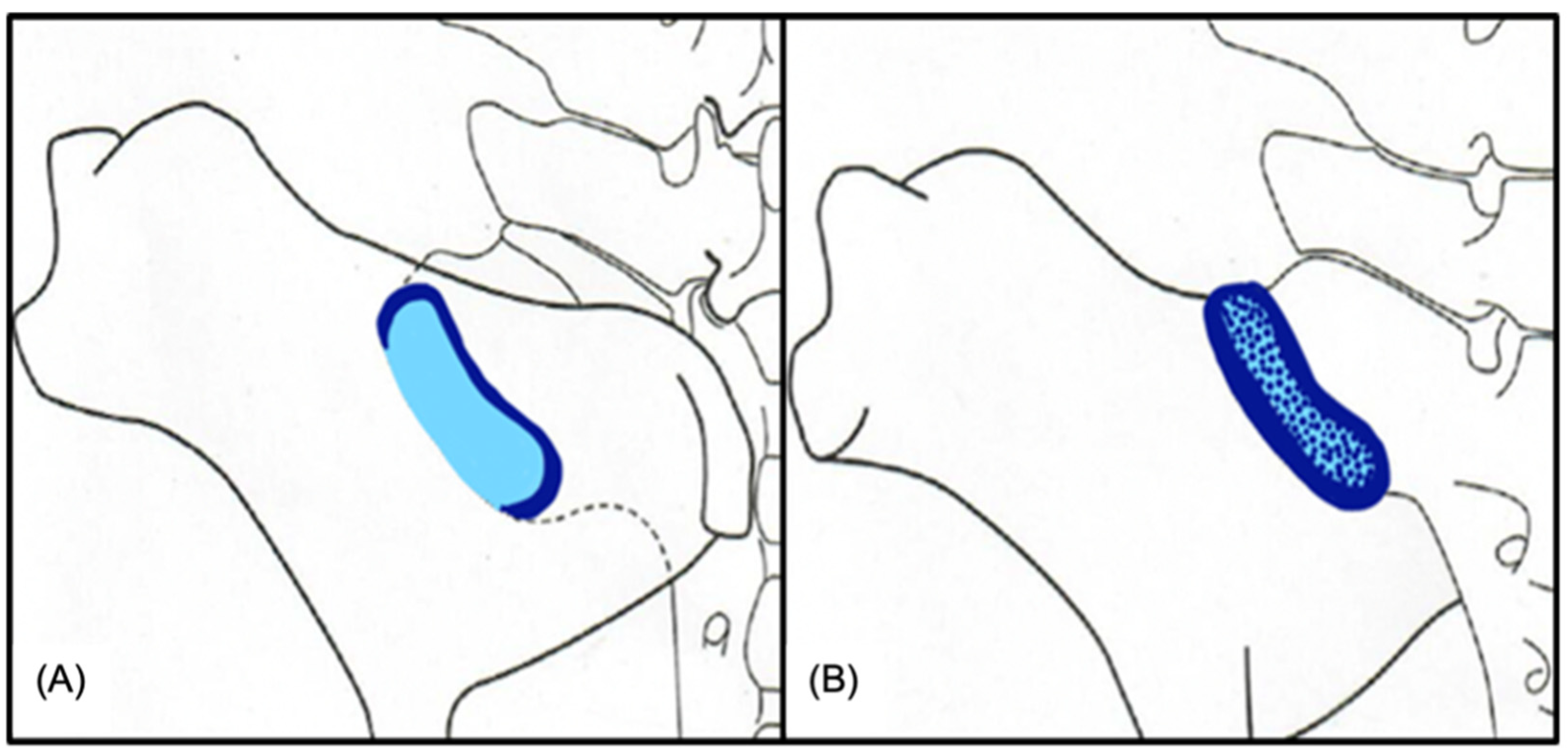 Animals 15 01995 g002