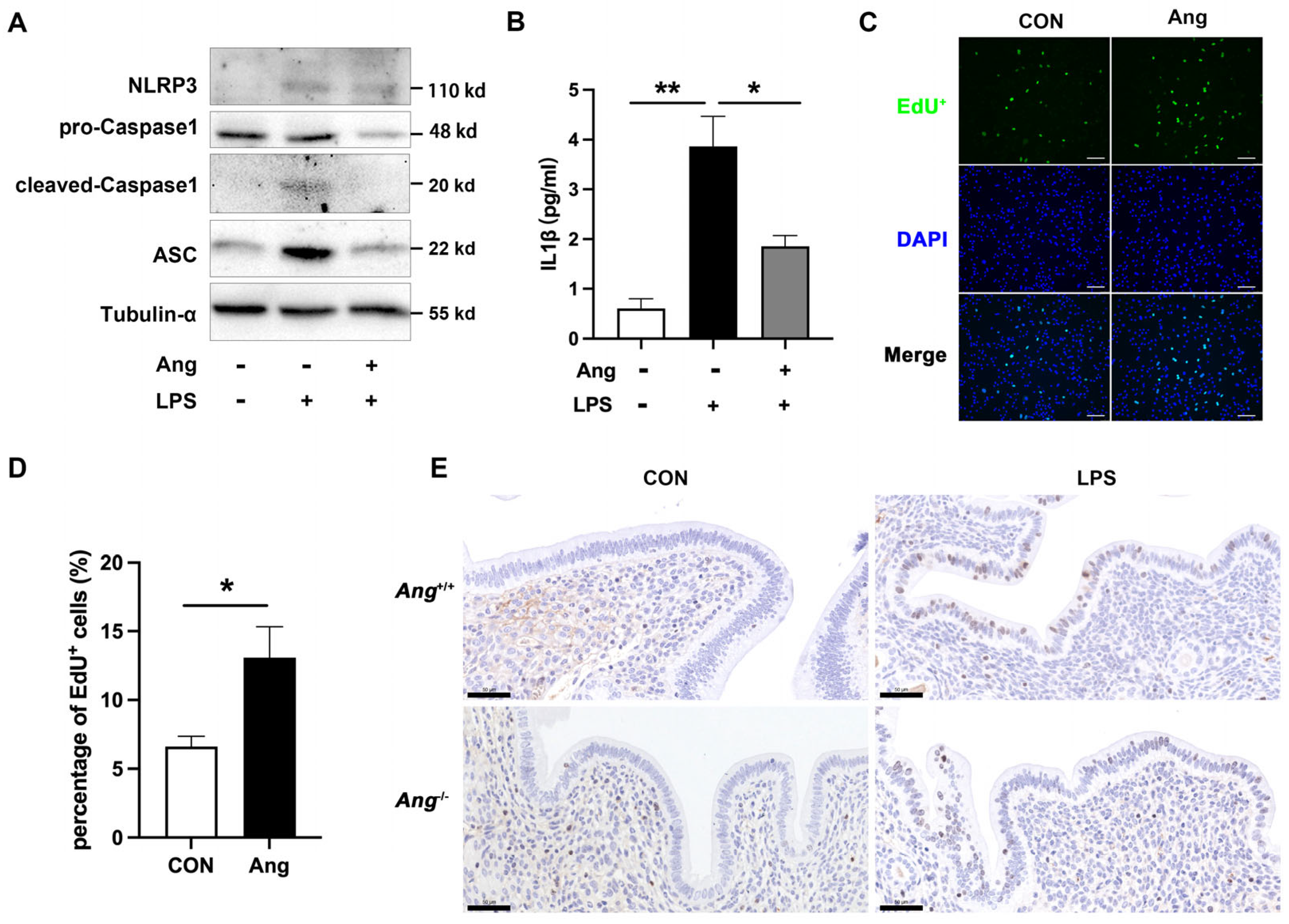 Animals 15 02002 g004