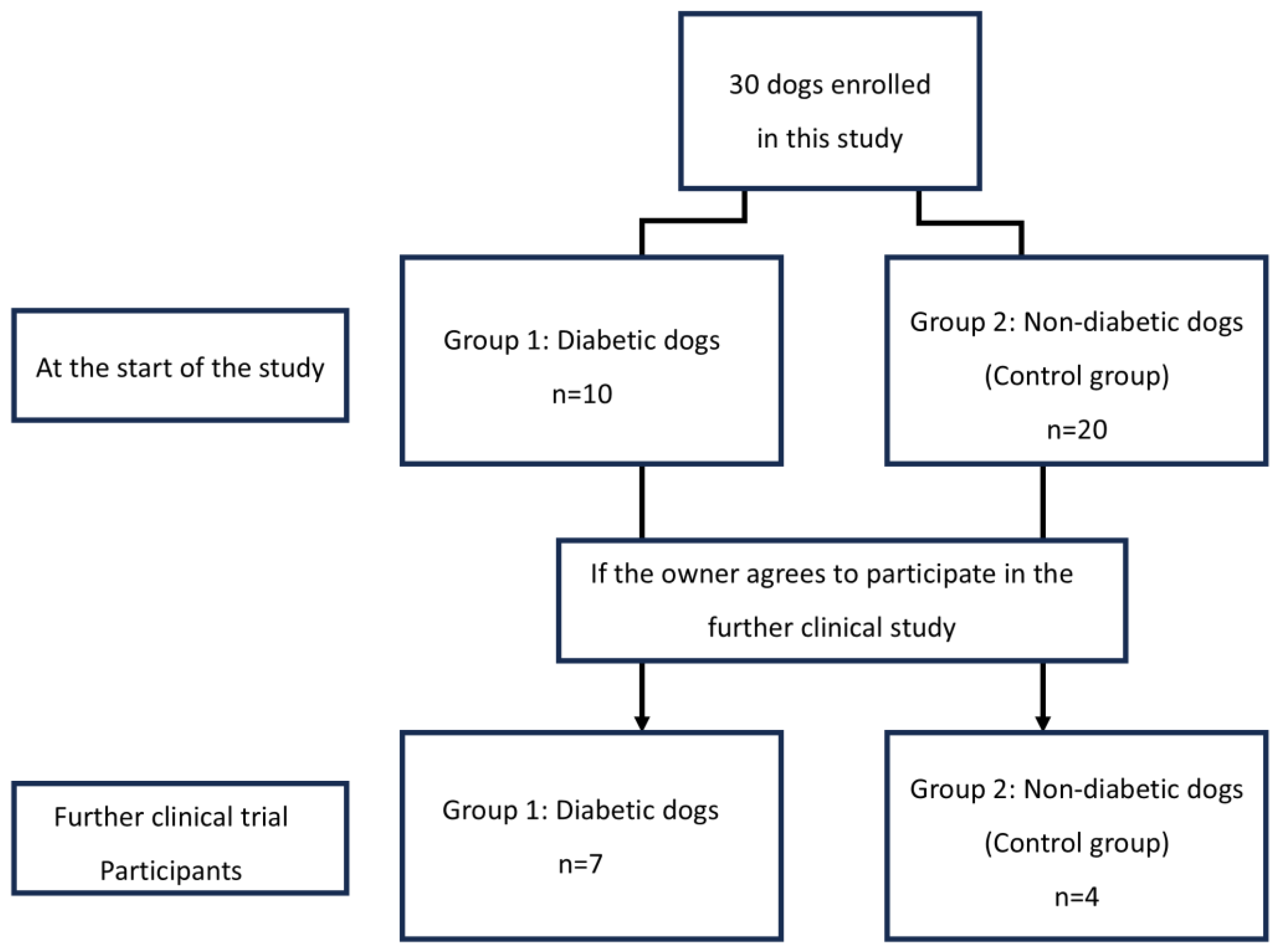 Animals 15 02004 g002