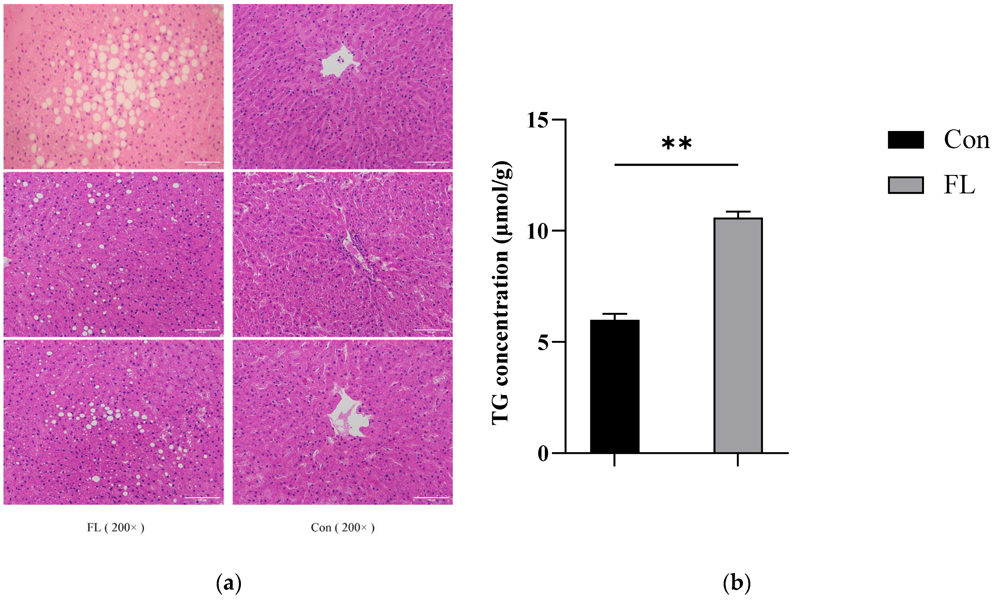 Animals 15 02010 g002