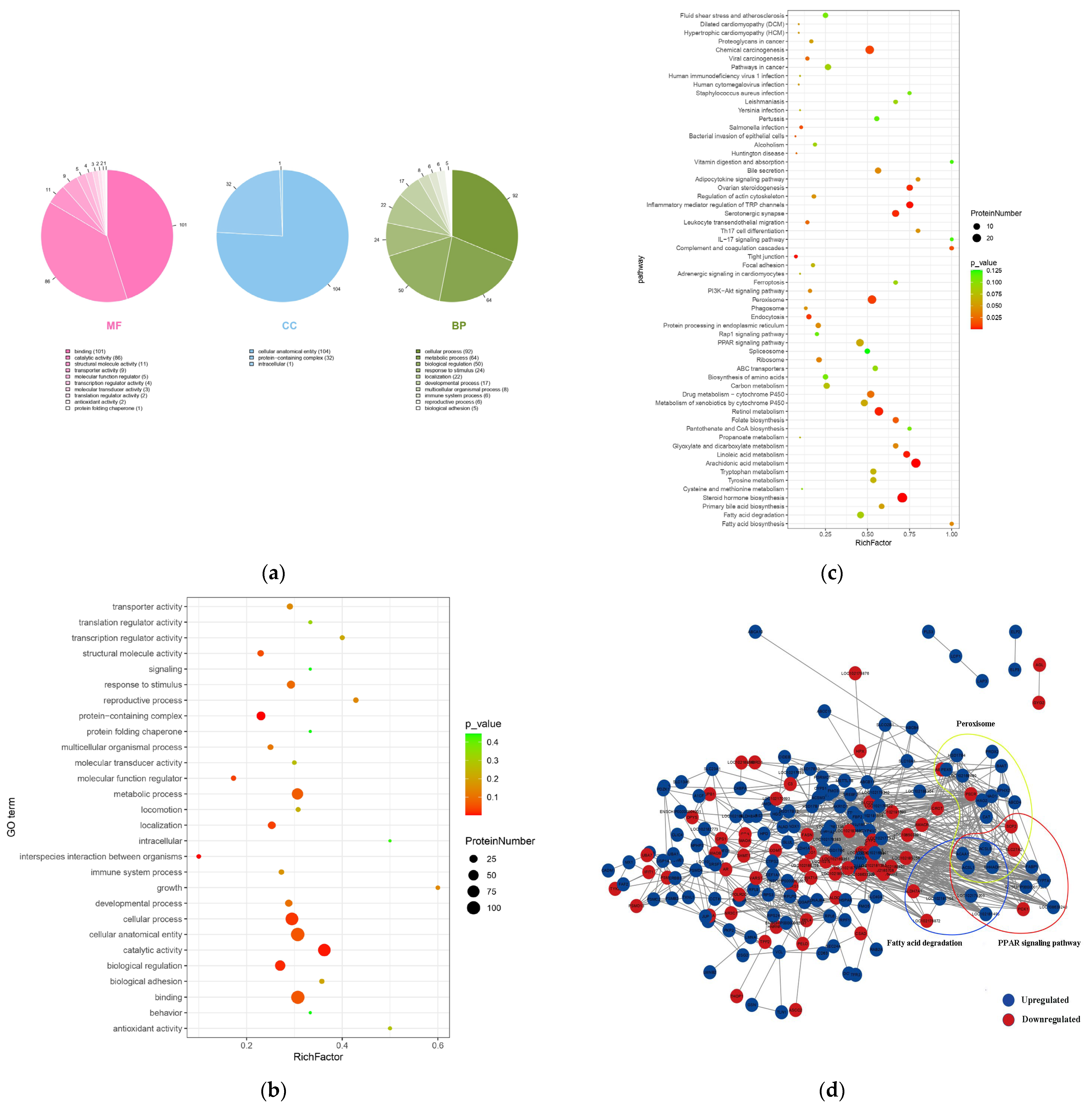 Animals 15 02010 g005