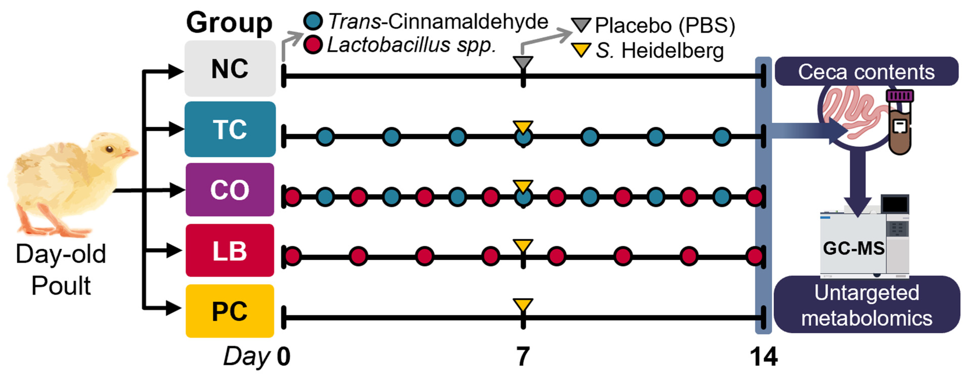 Animals 15 02016 g001