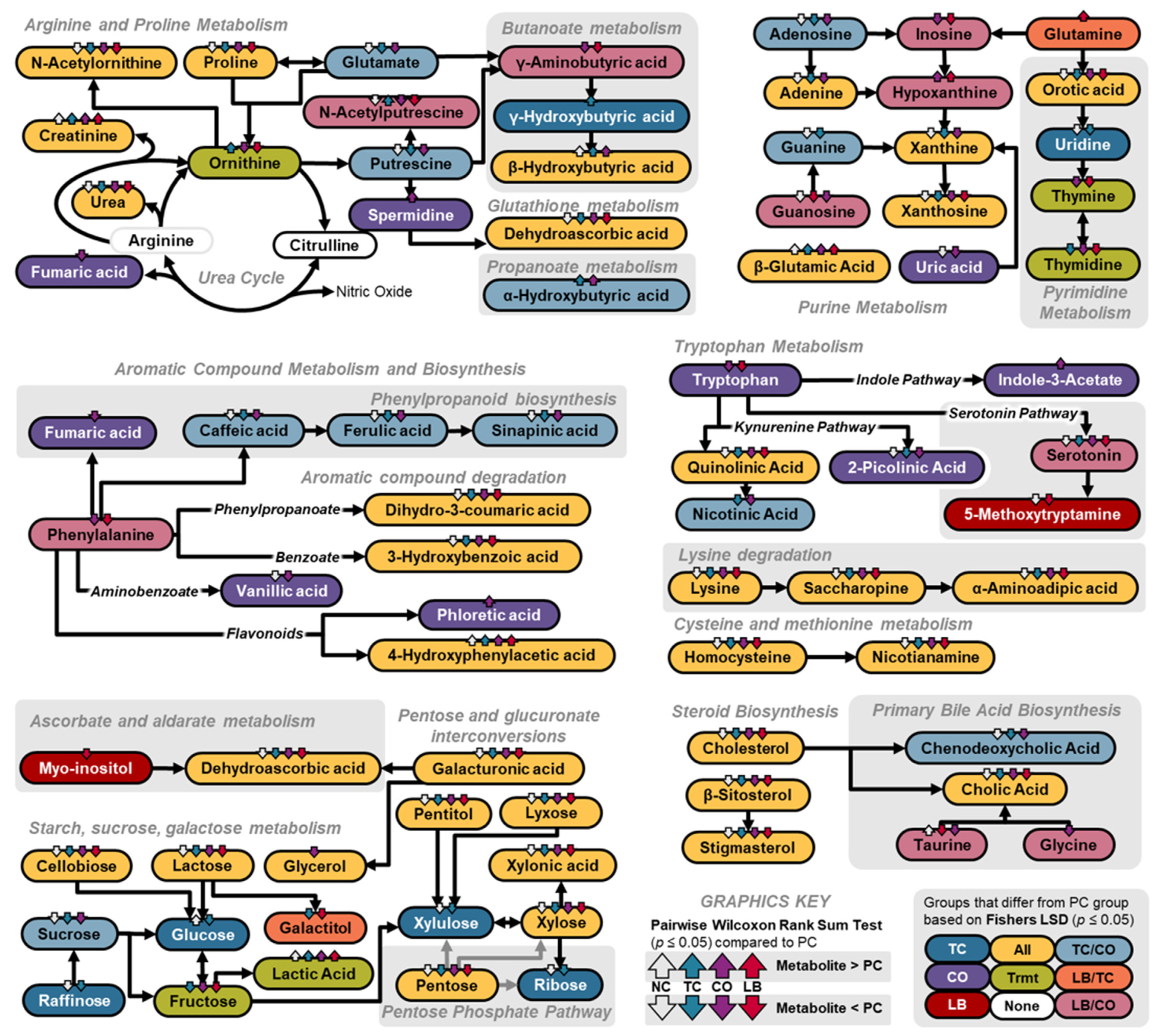 Animals 15 02016 g013