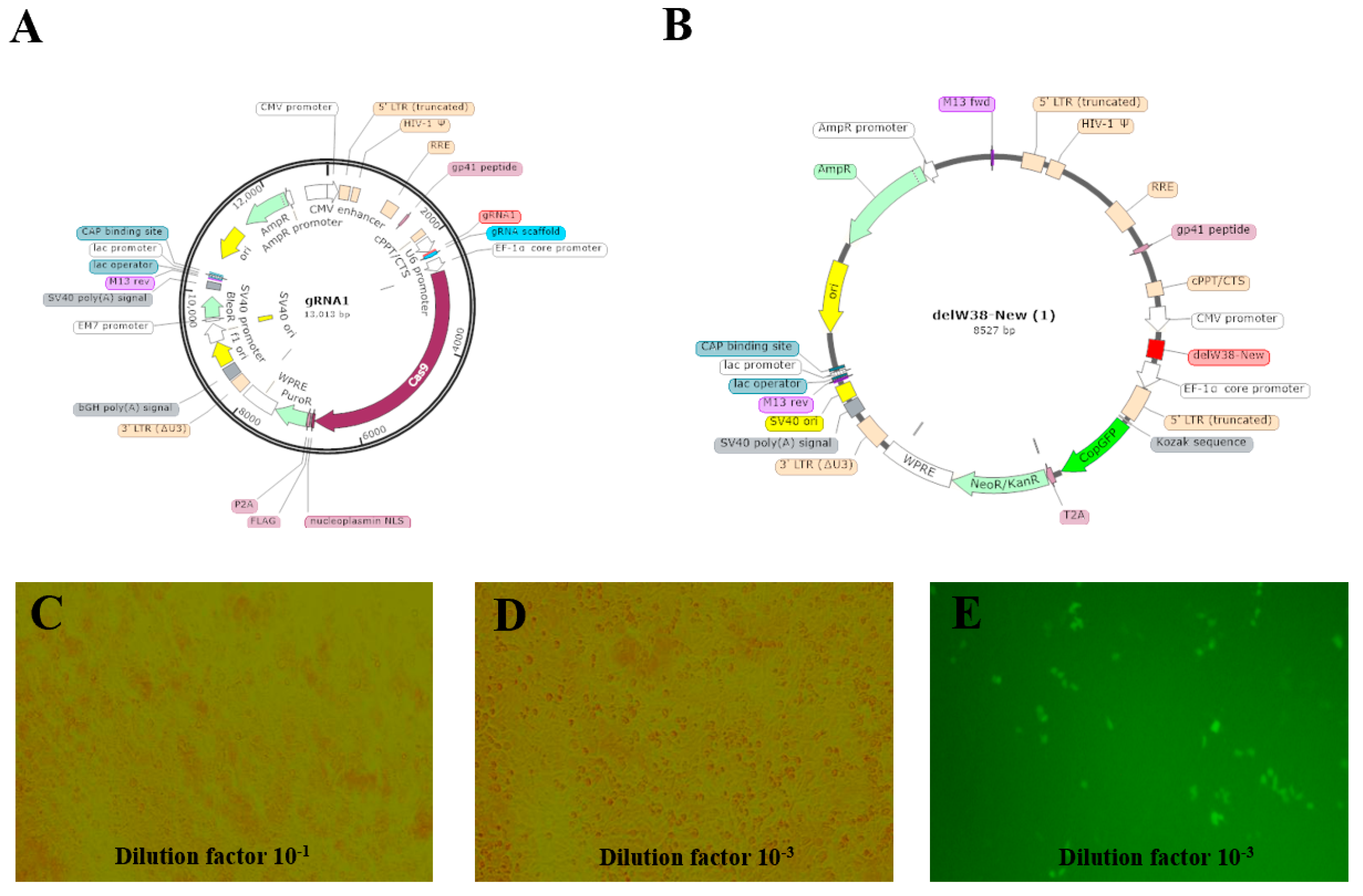 Animals 15 02018 g001