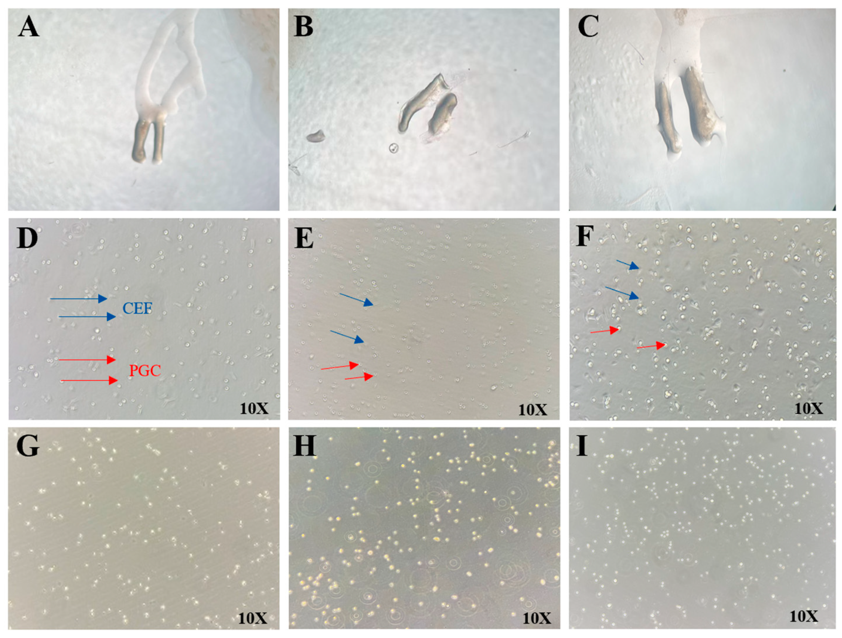 Animals 15 02018 g003