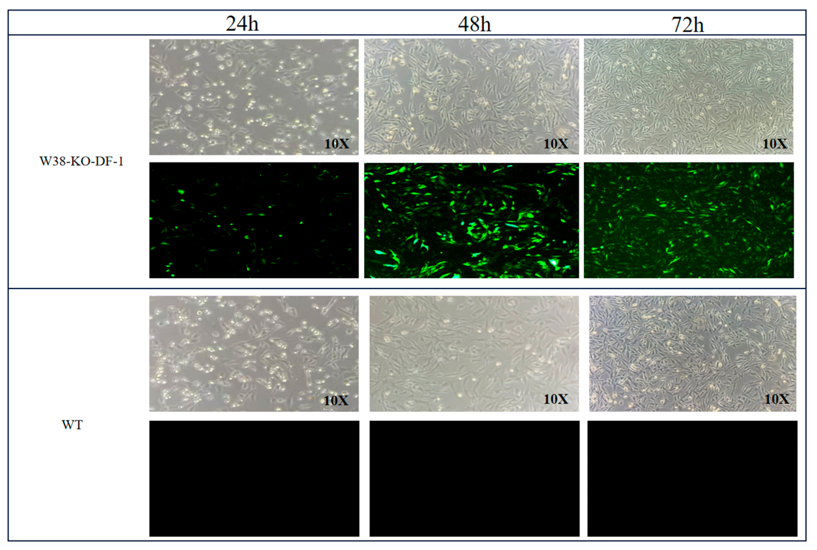 Animals 15 02018 g0a1