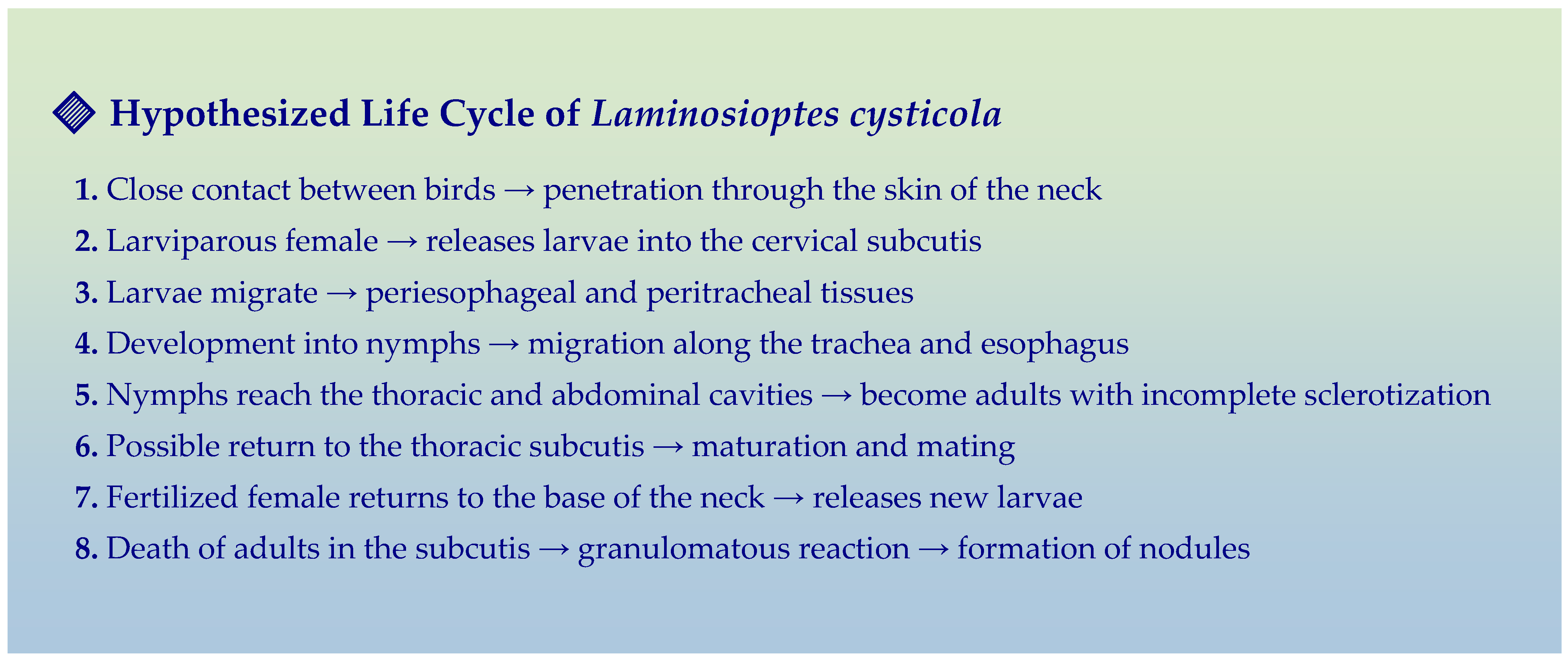 Animals 15 02024 g004