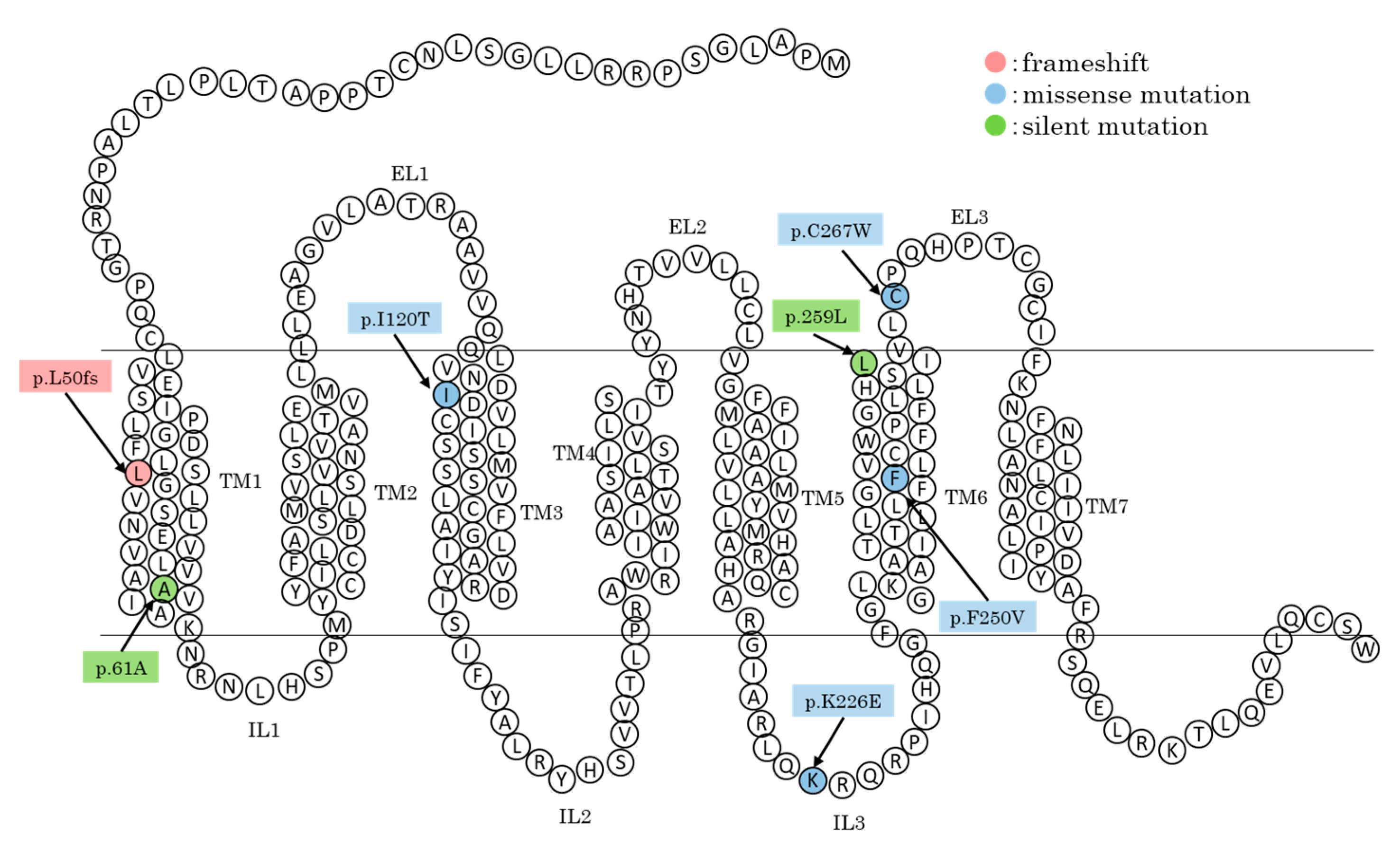 Animals 15 02026 g002