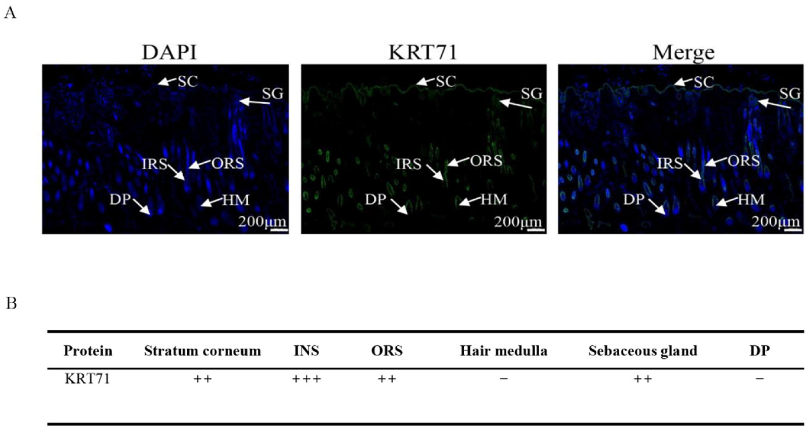 Animals 15 02028 g001