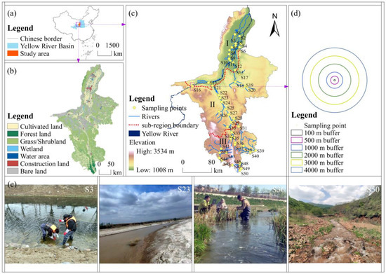Beta Diversity Patterns and Drivers of Macroinvertebrate