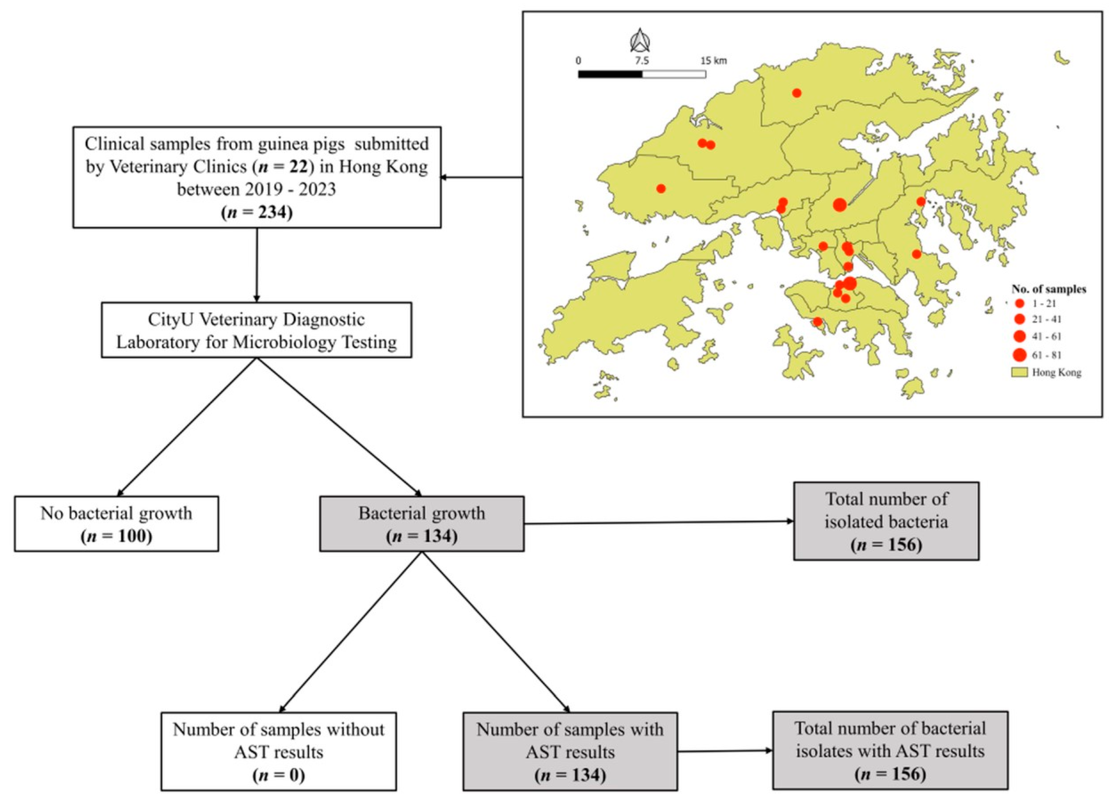 Animals 15 02042 g001