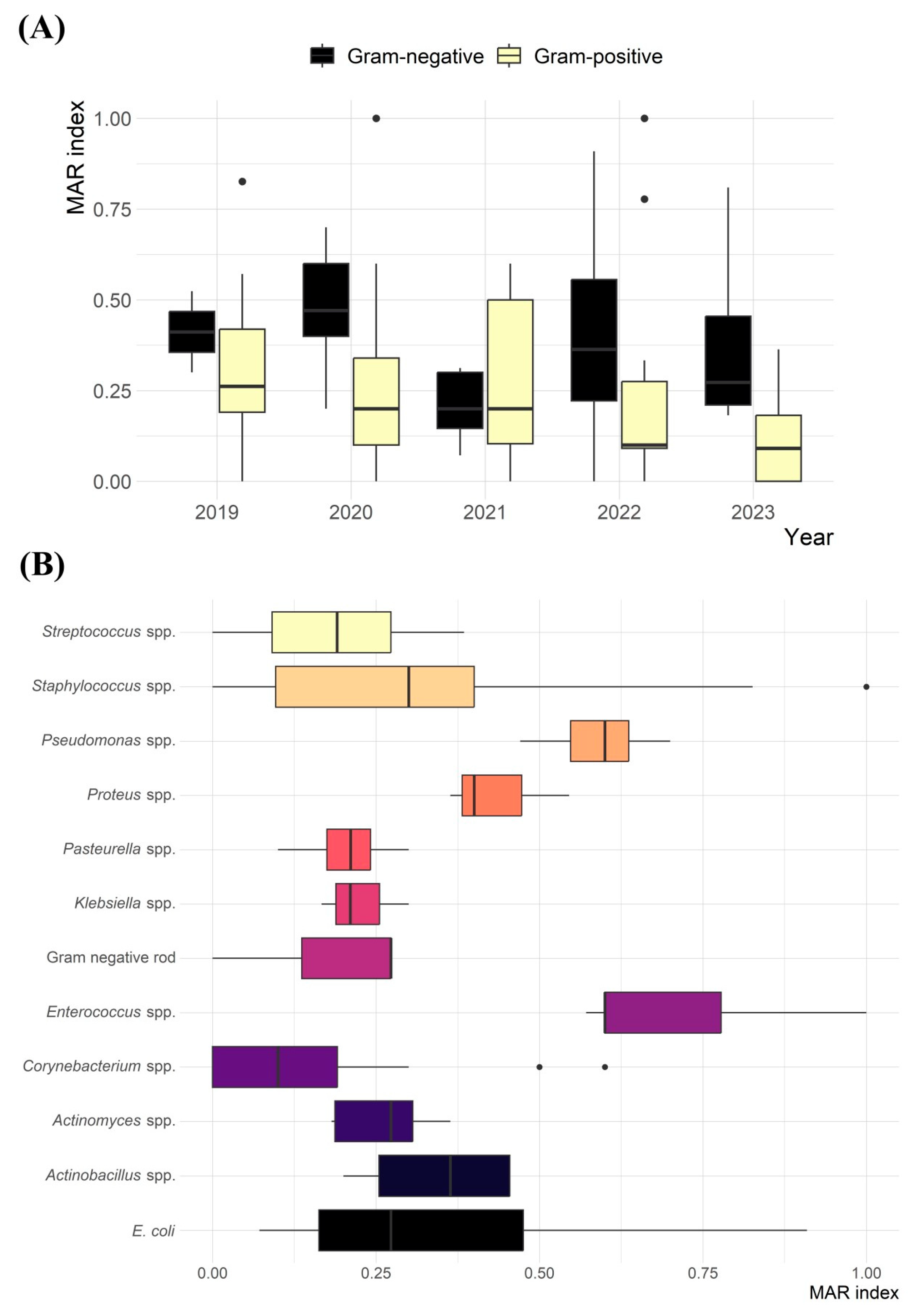 Animals 15 02042 g005