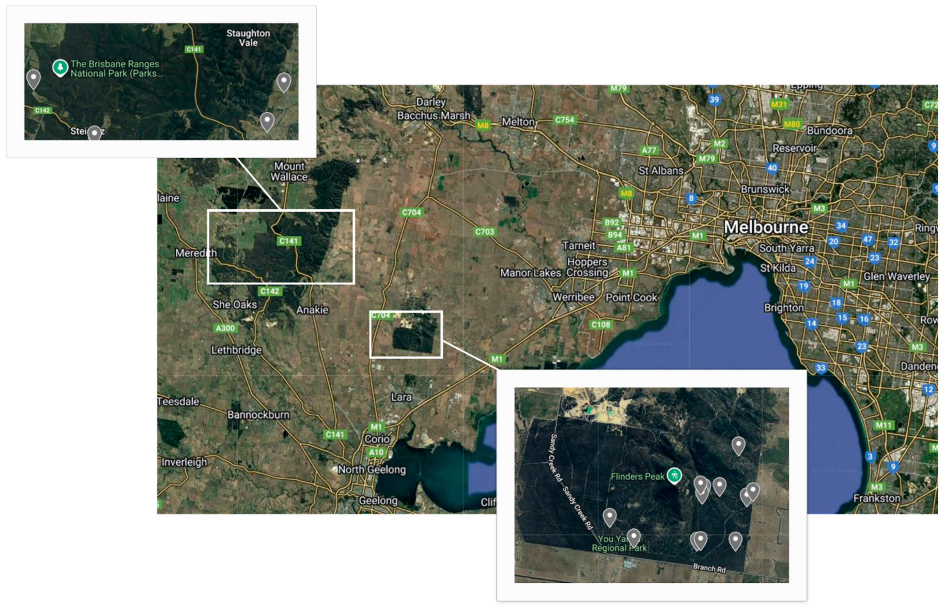 Animals 15 02048 g001