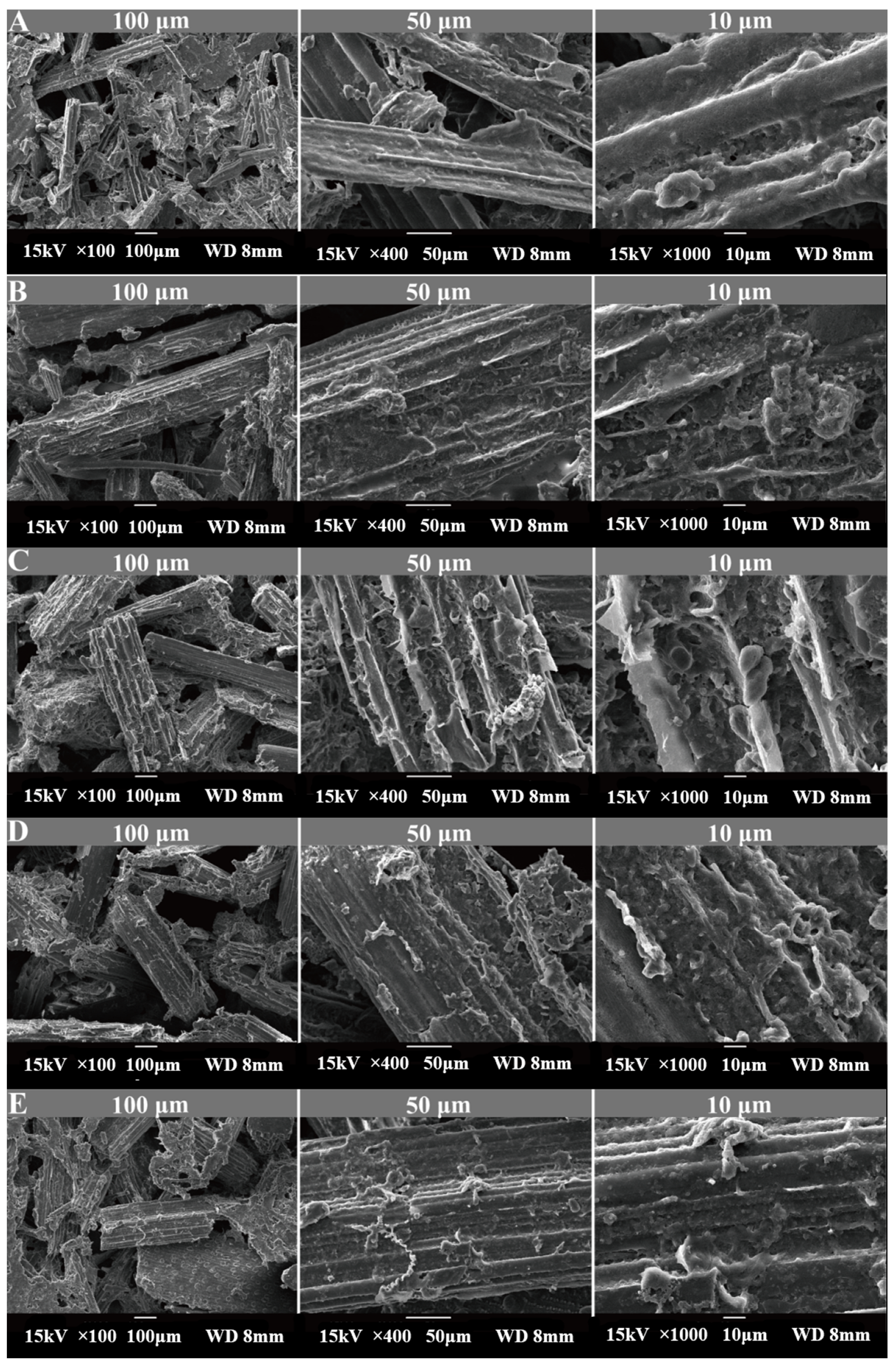 Animals 15 02049 g001 Animals 15 02049 g001