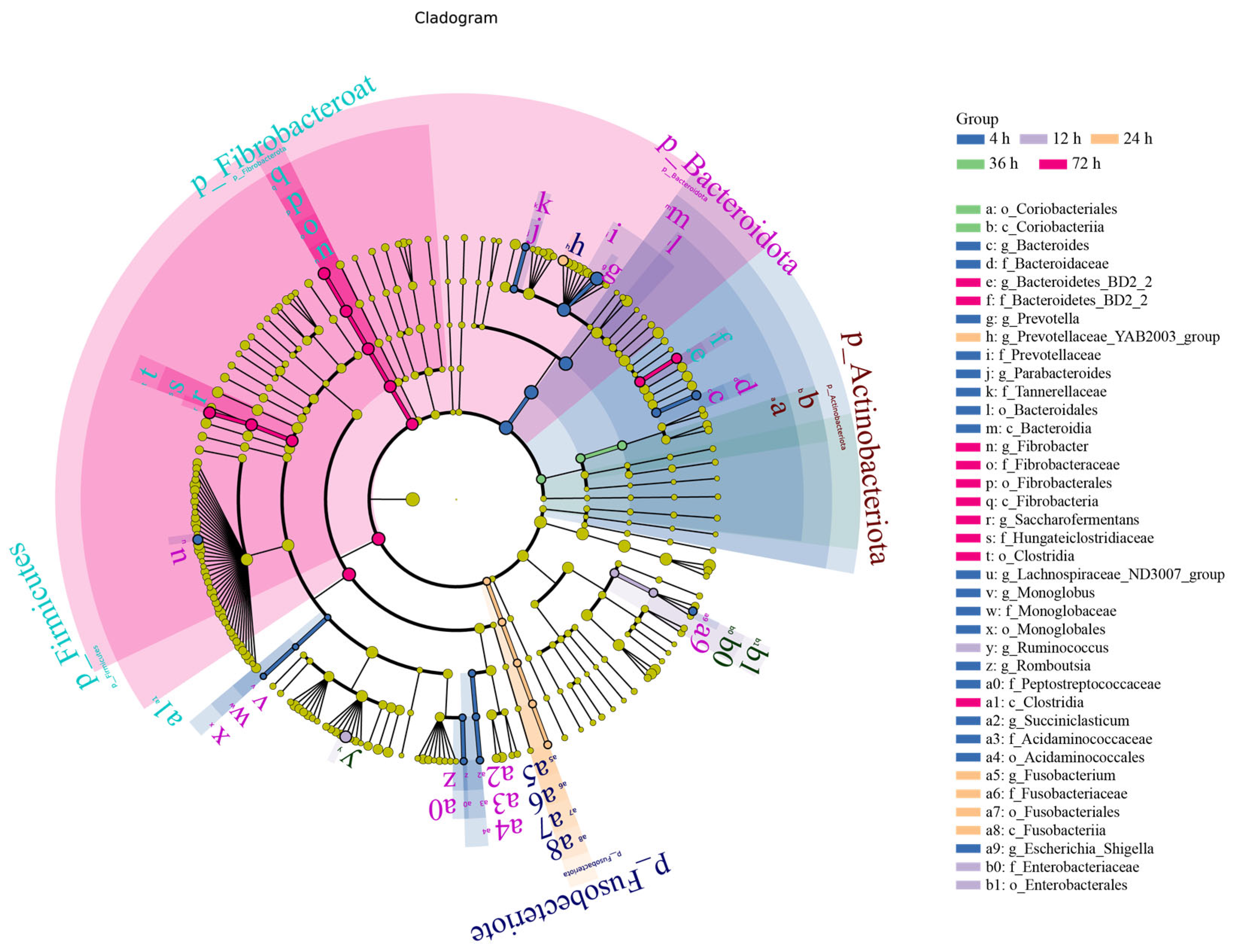 Animals 15 02049 g007 Animals 15 02049 g007