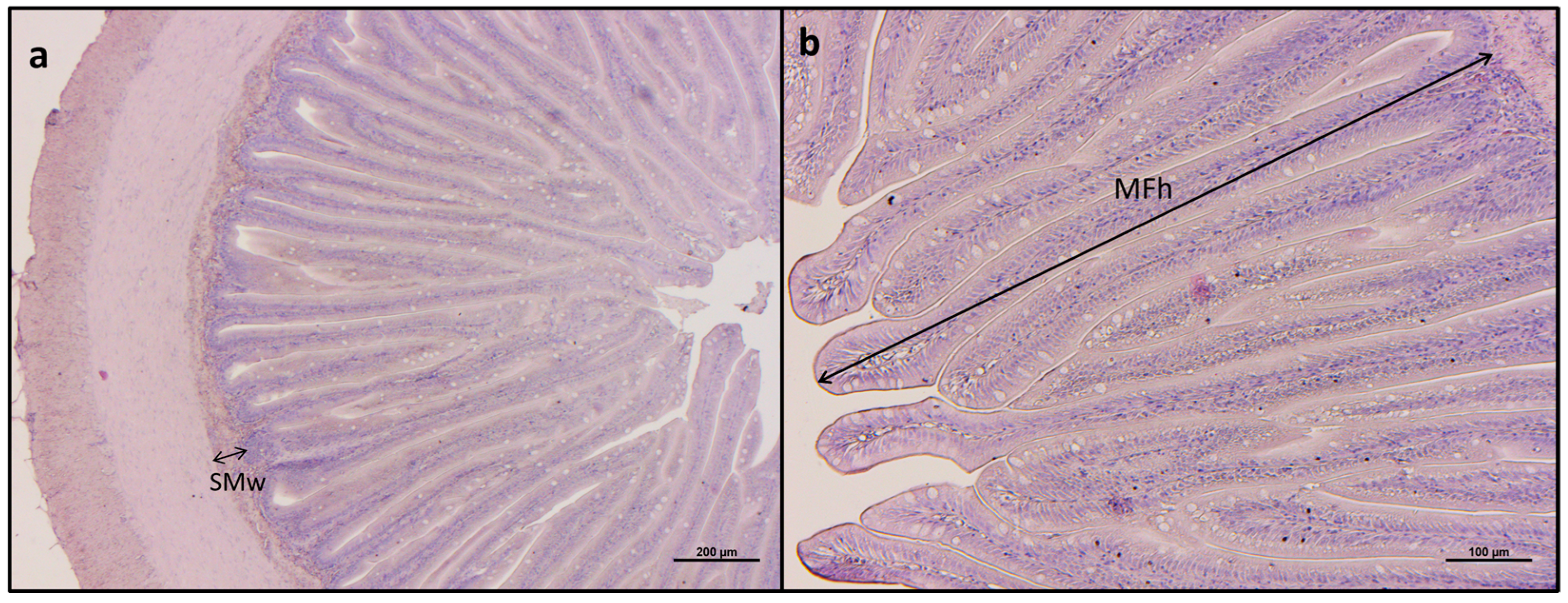 Animals 15 02060 g001