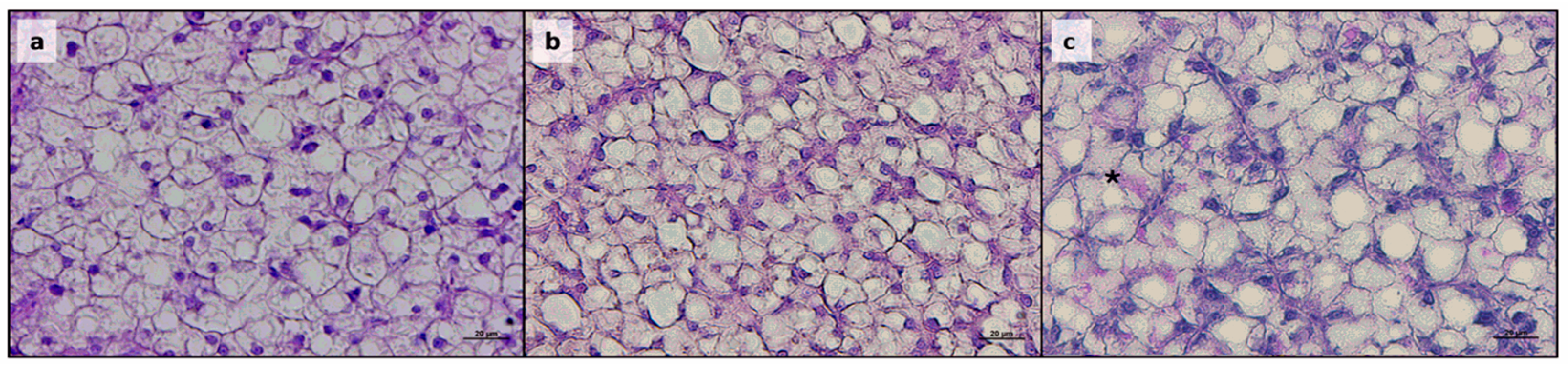 Animals 15 02060 g002