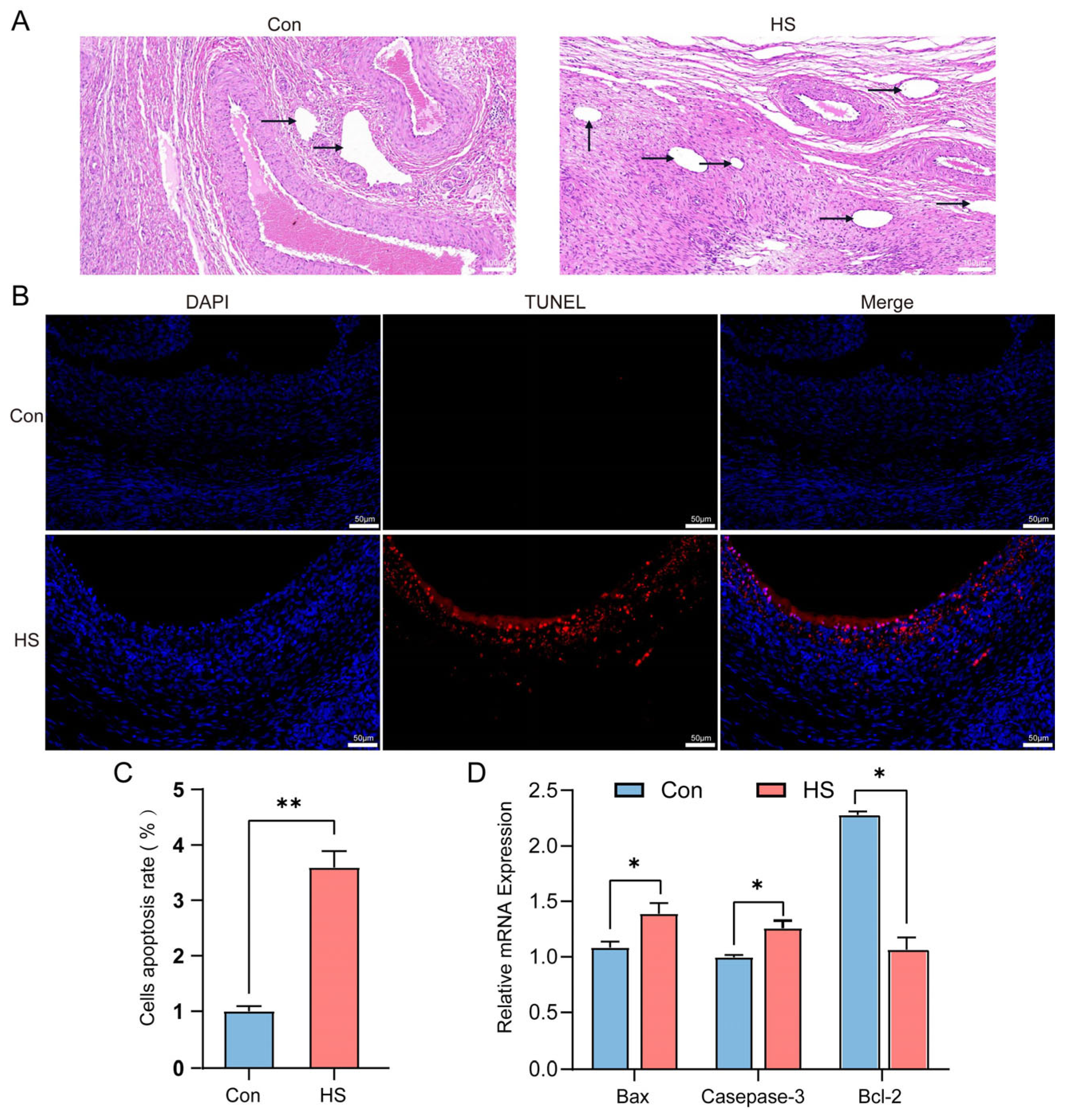 Animals 15 02063 g004