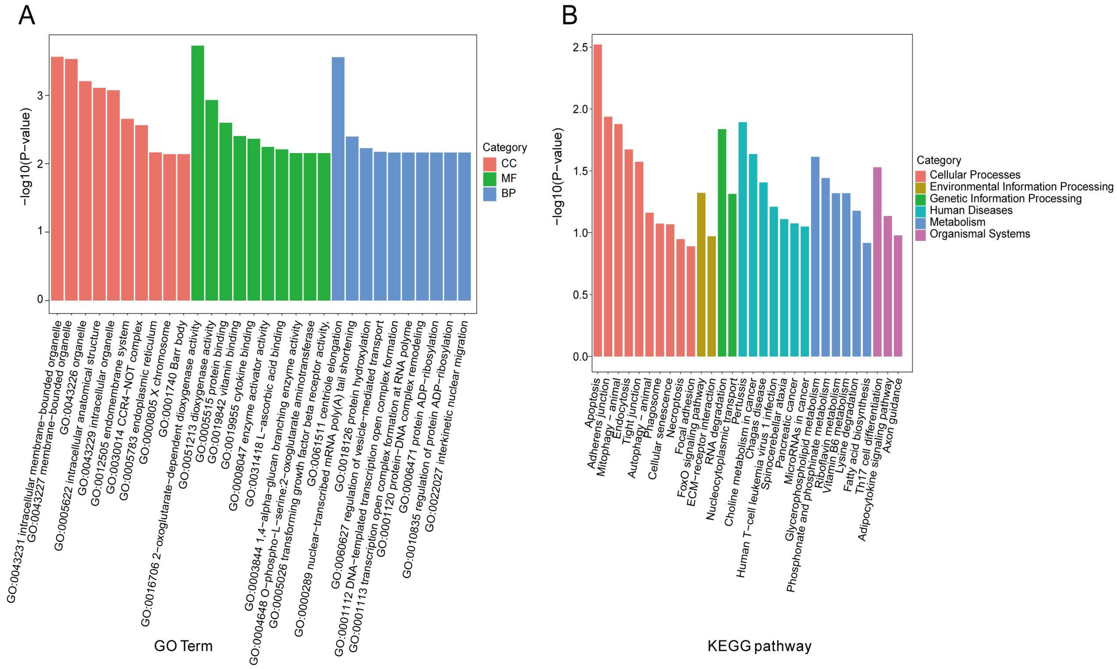 Animals 15 02063 g007