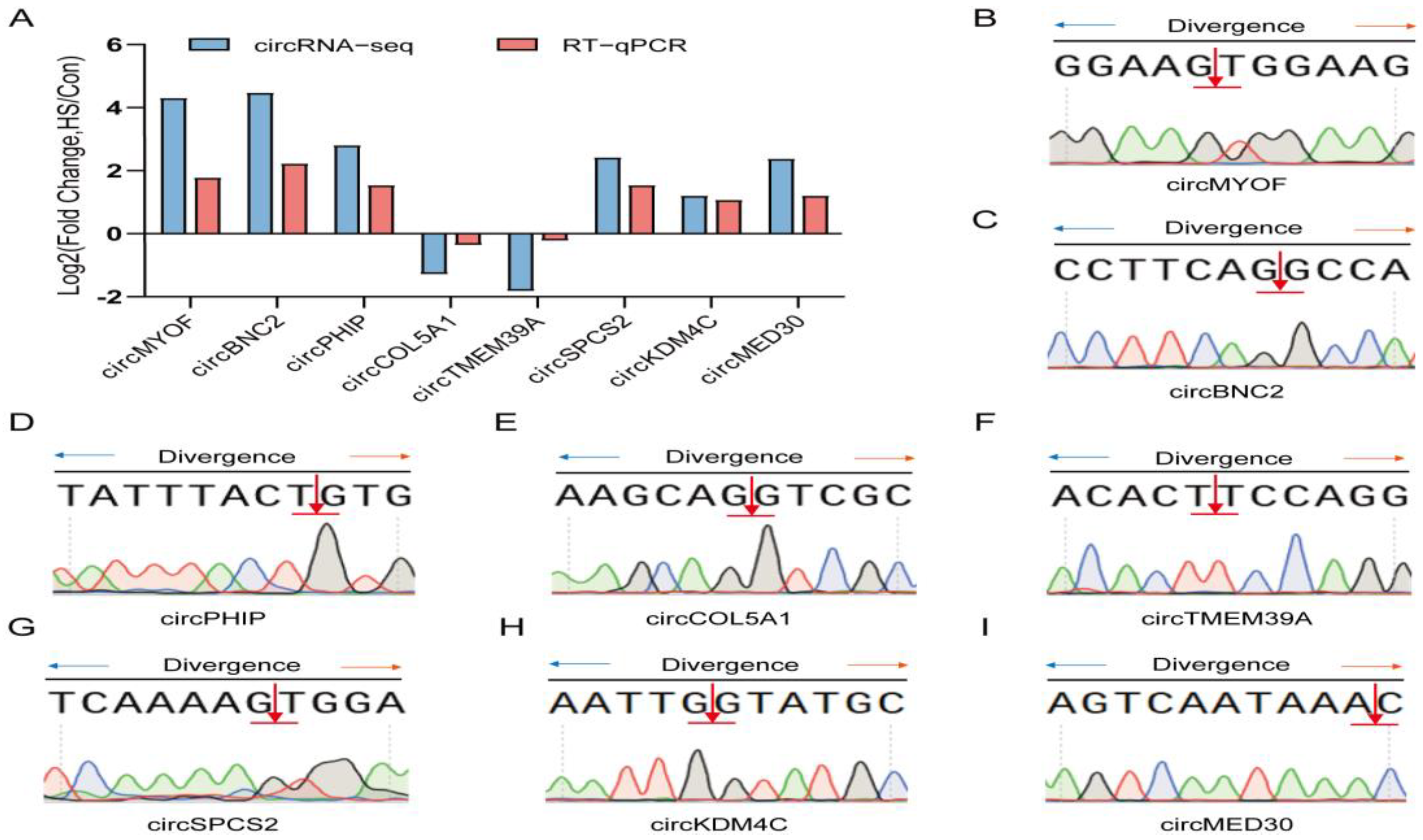 Animals 15 02063 g008