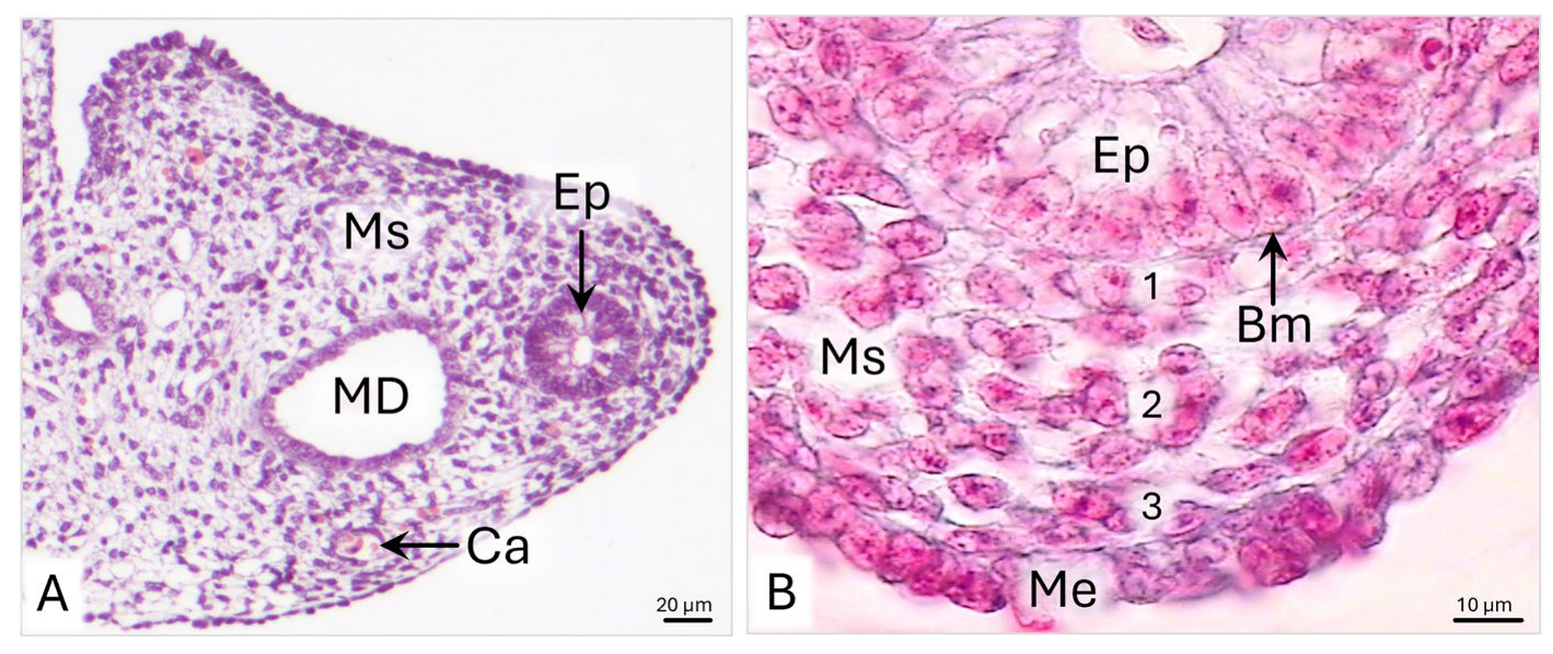 Animals 15 02067 g002