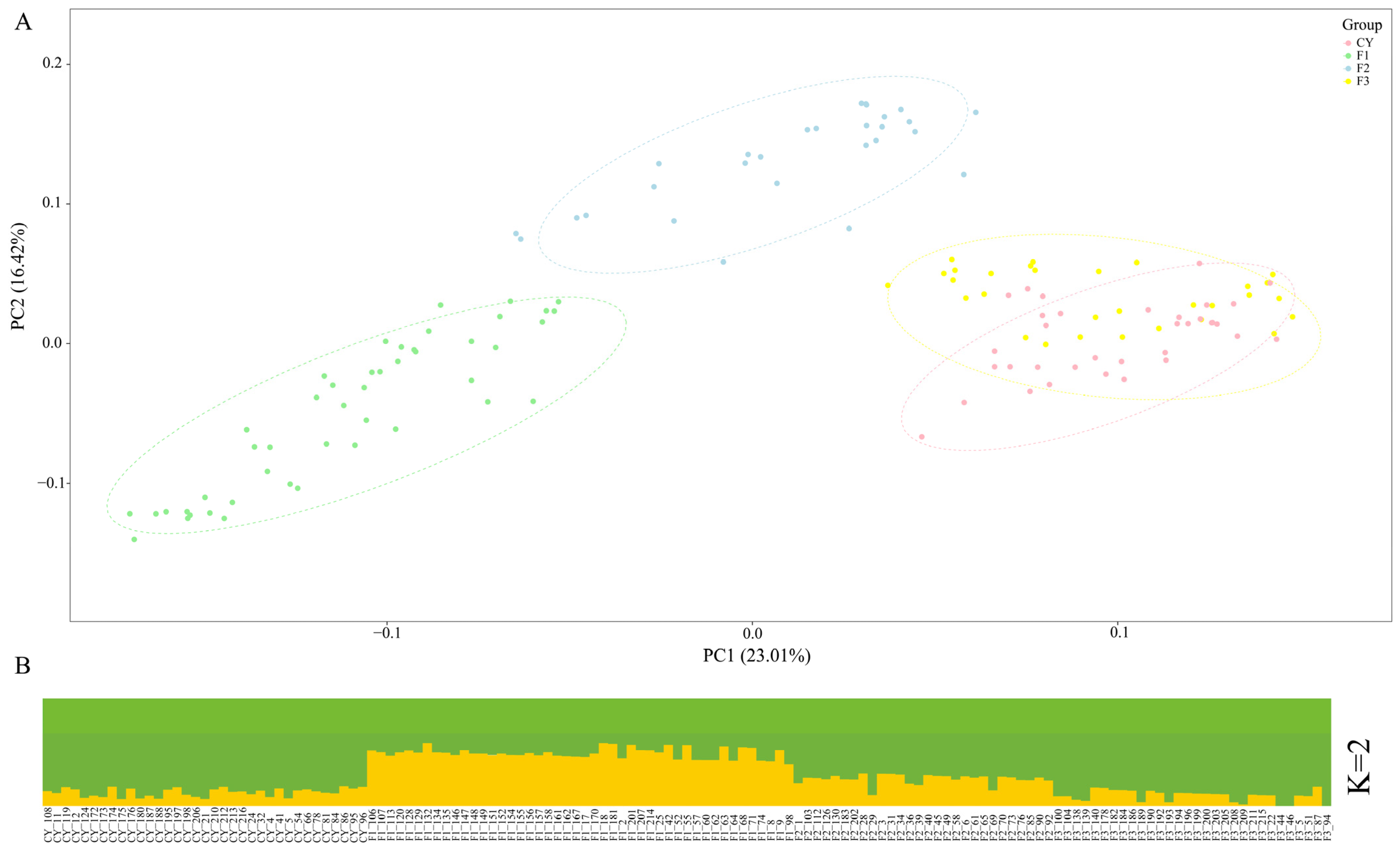 Animals 15 02068 g001