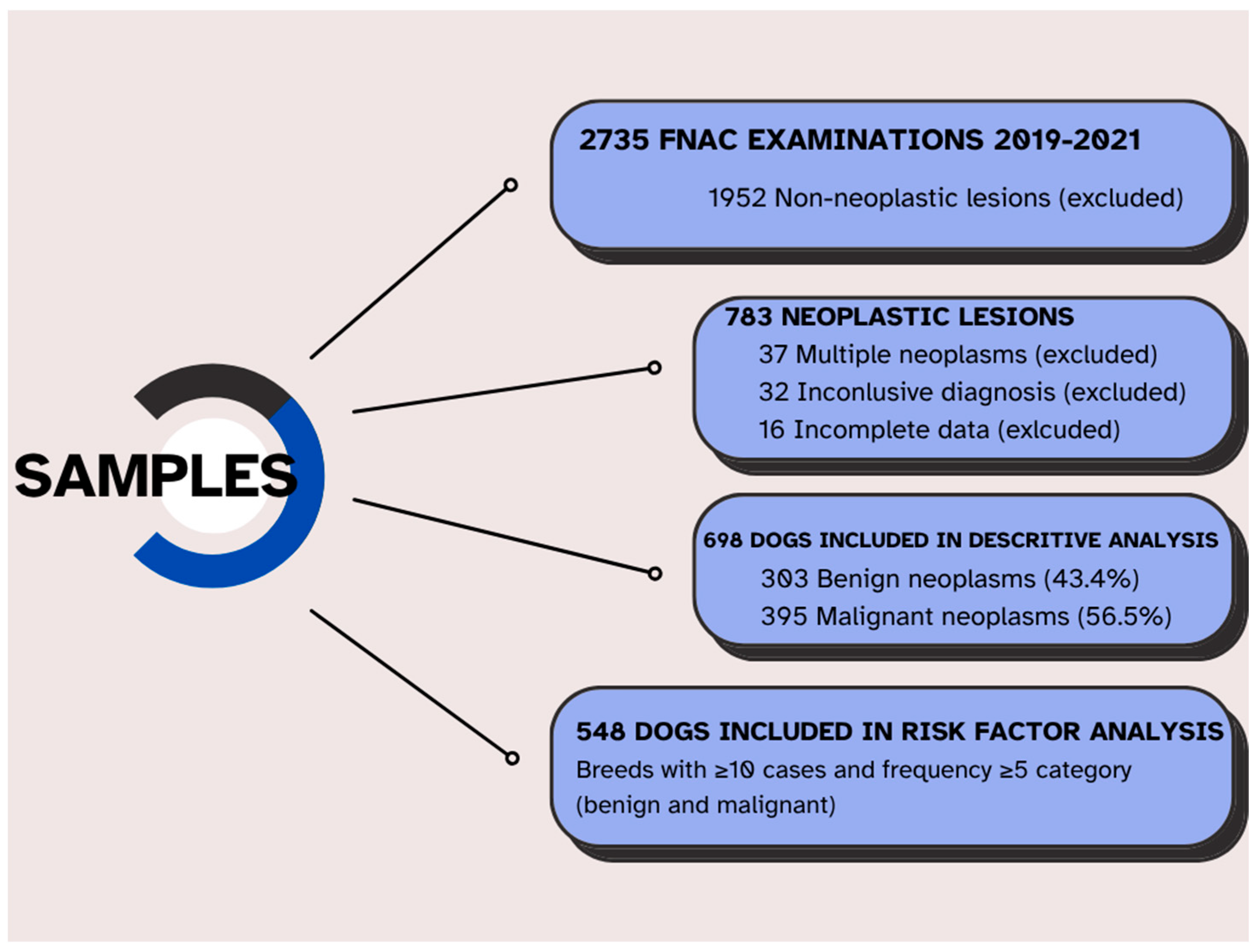 Animals 15 02069 g001