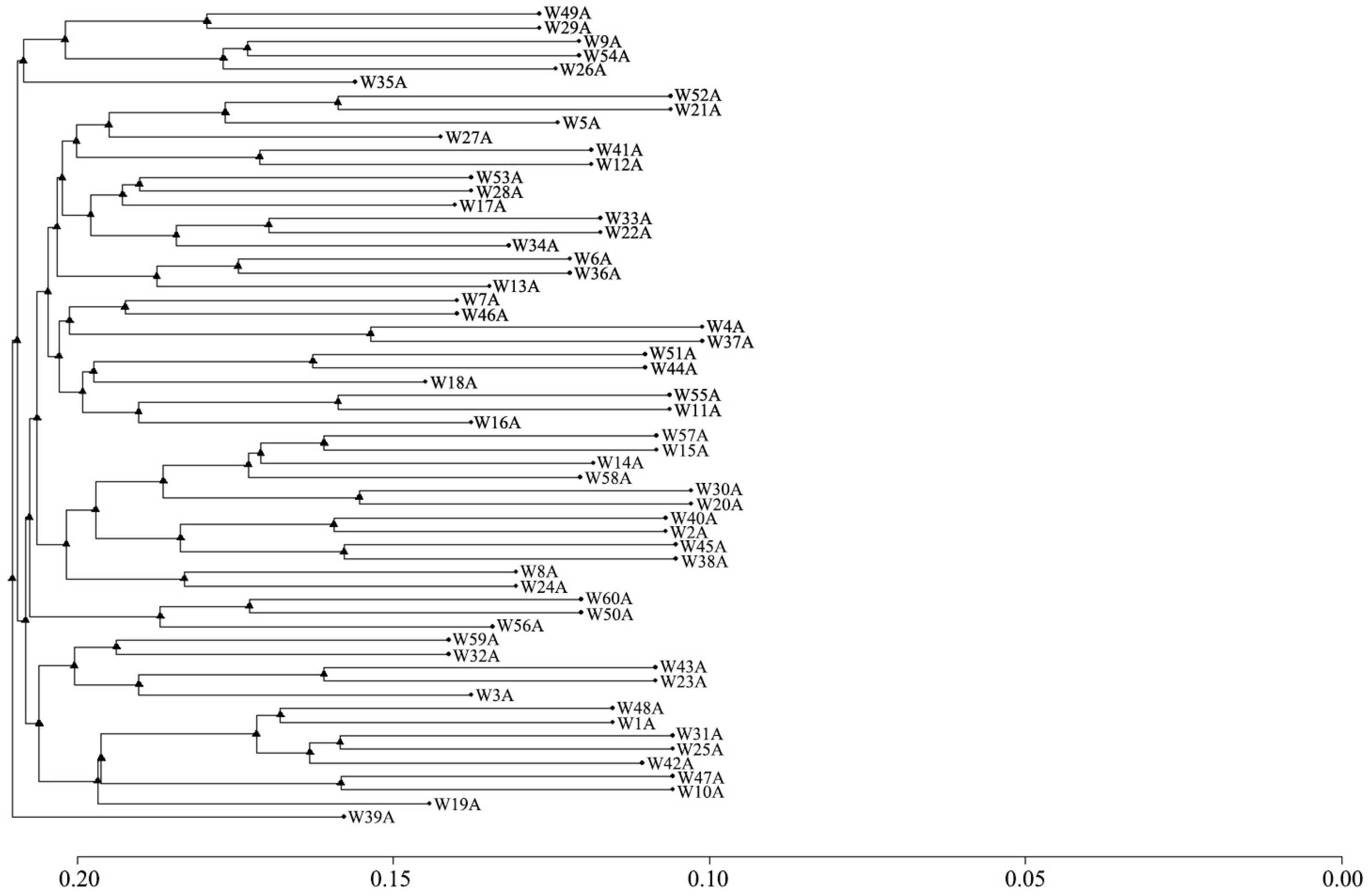 Animals 15 02071 g007