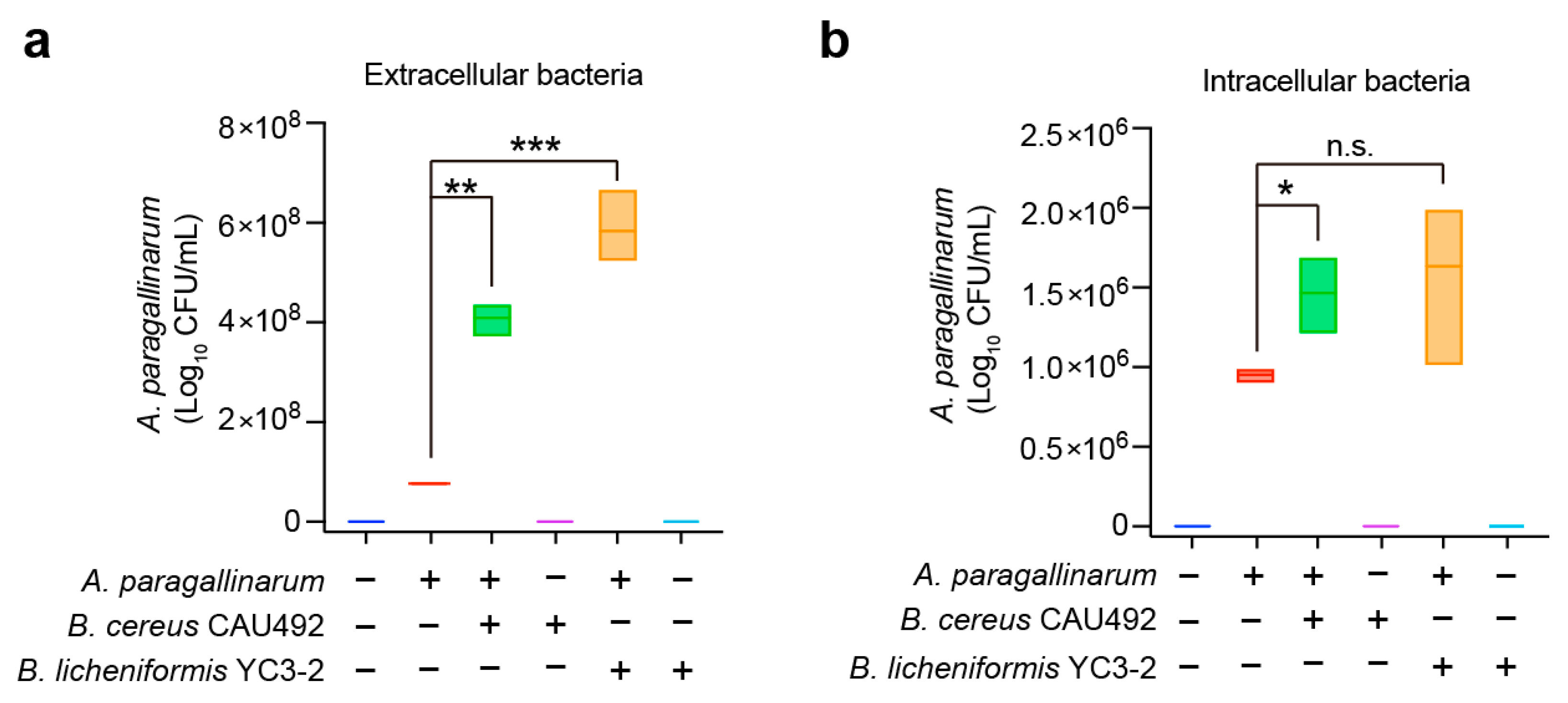 Animals 15 02076 g003