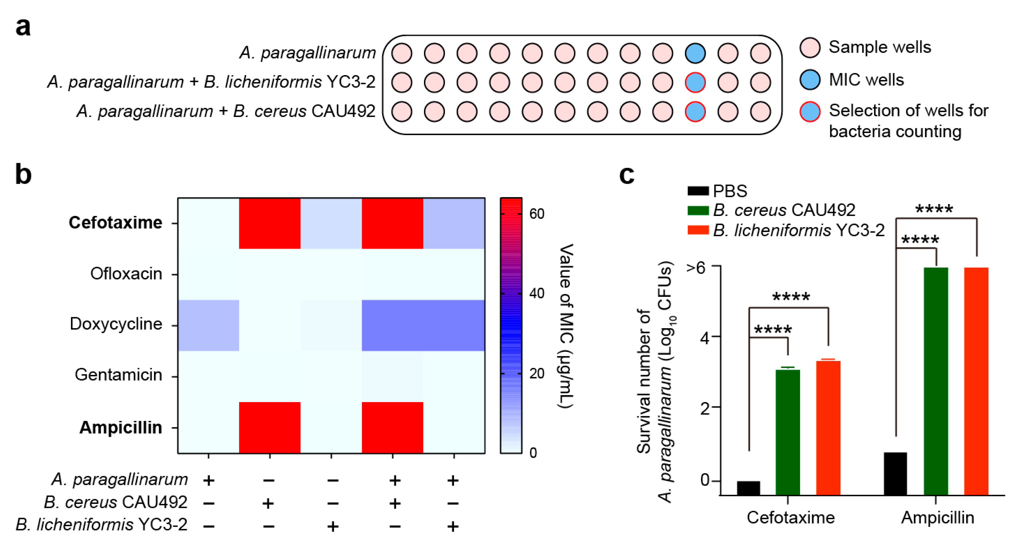 Animals 15 02076 g004
