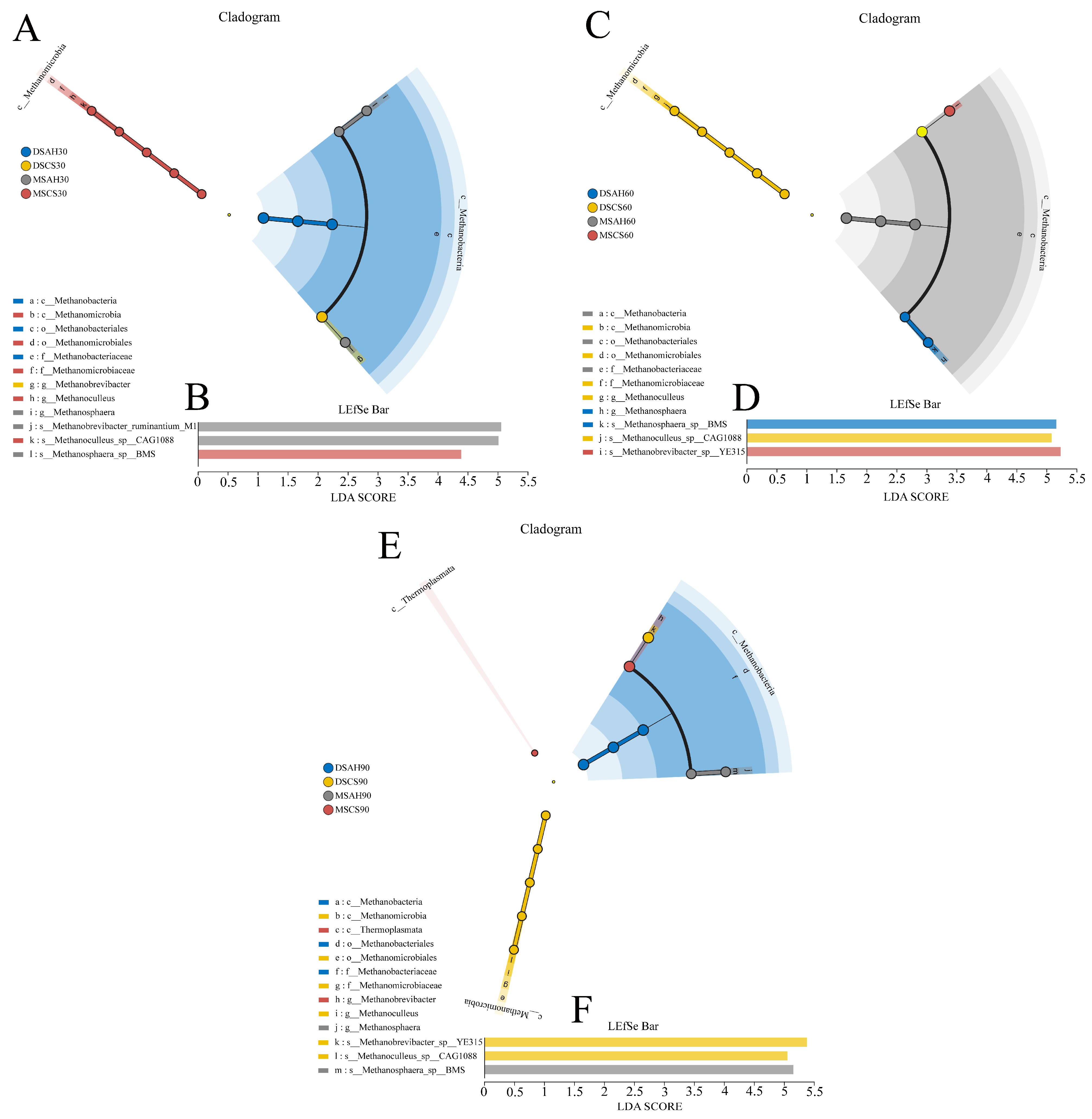 Animals 15 02079 g005