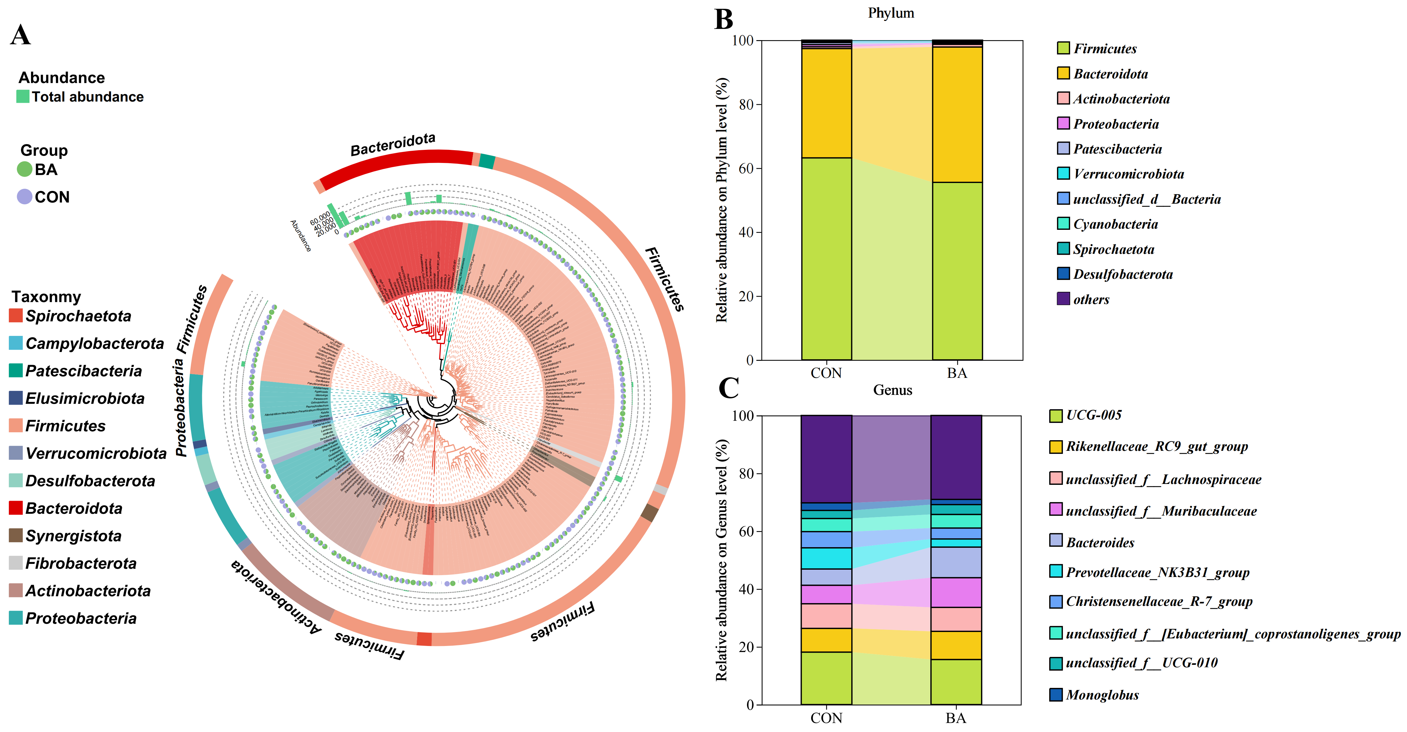 Animals 15 02080 g001