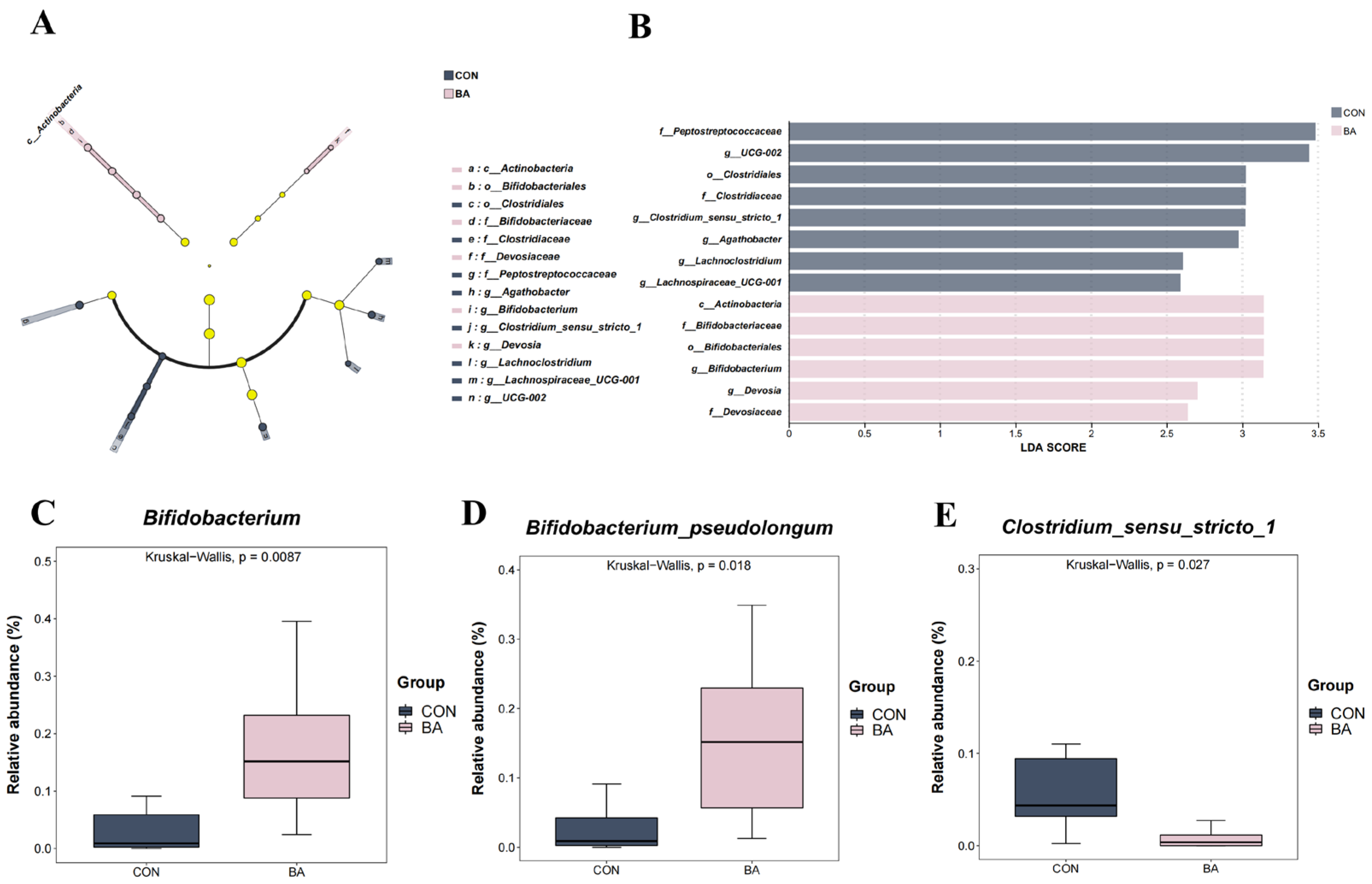 Animals 15 02080 g002