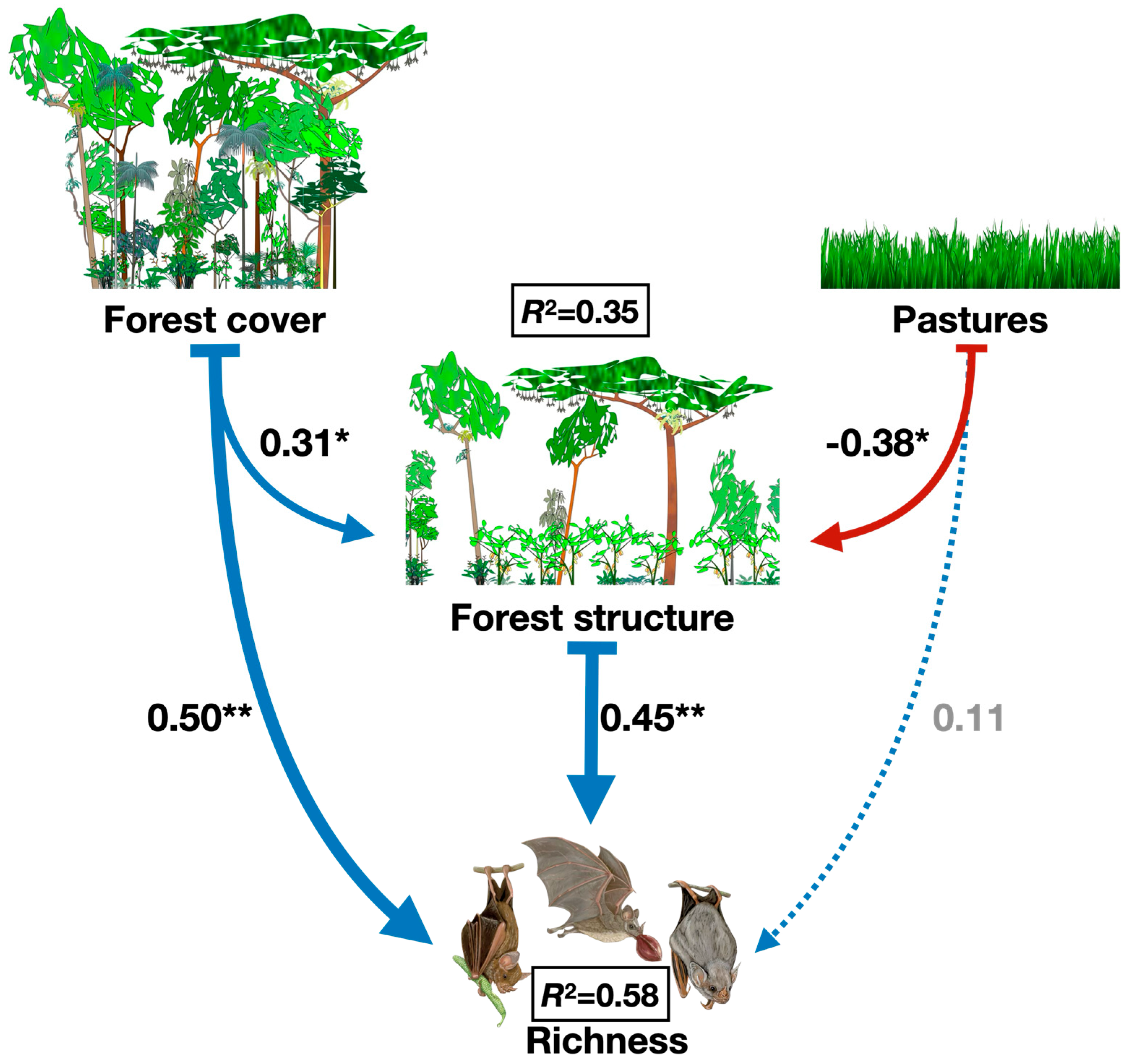 Animals 15 02082 g002