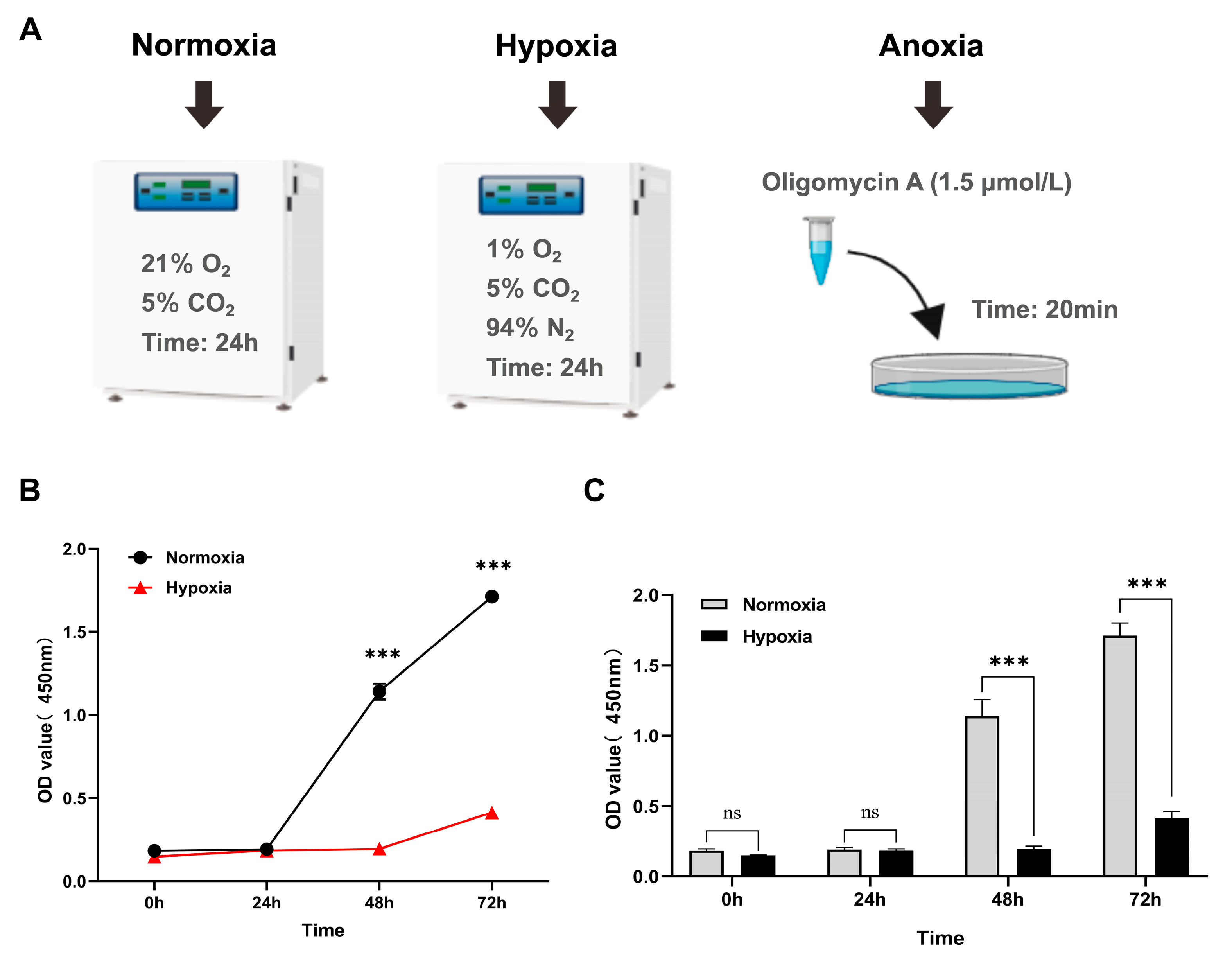 Animals 15 02084 g001