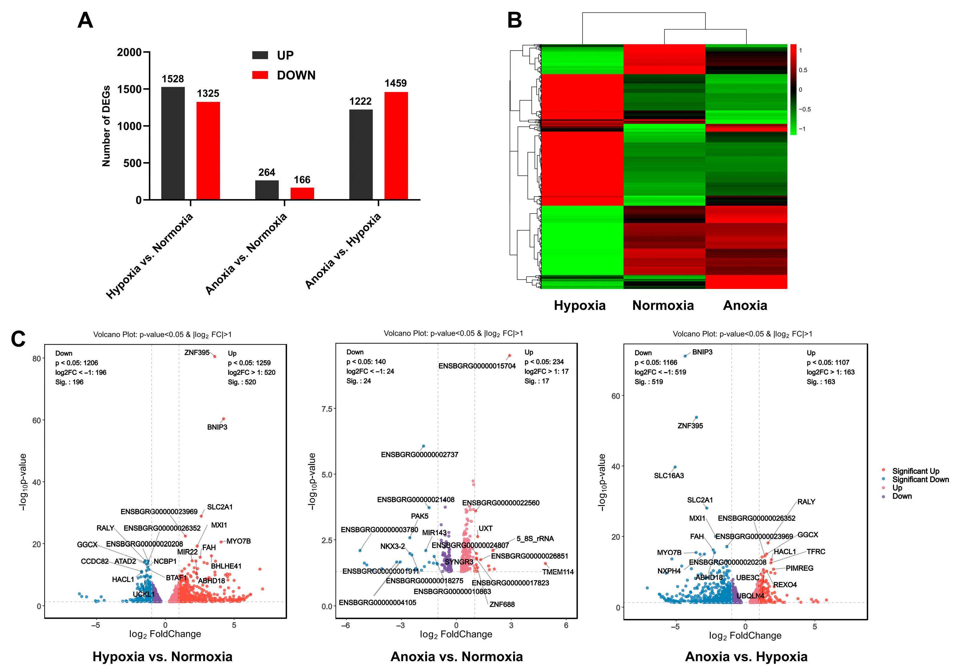 Animals 15 02084 g004