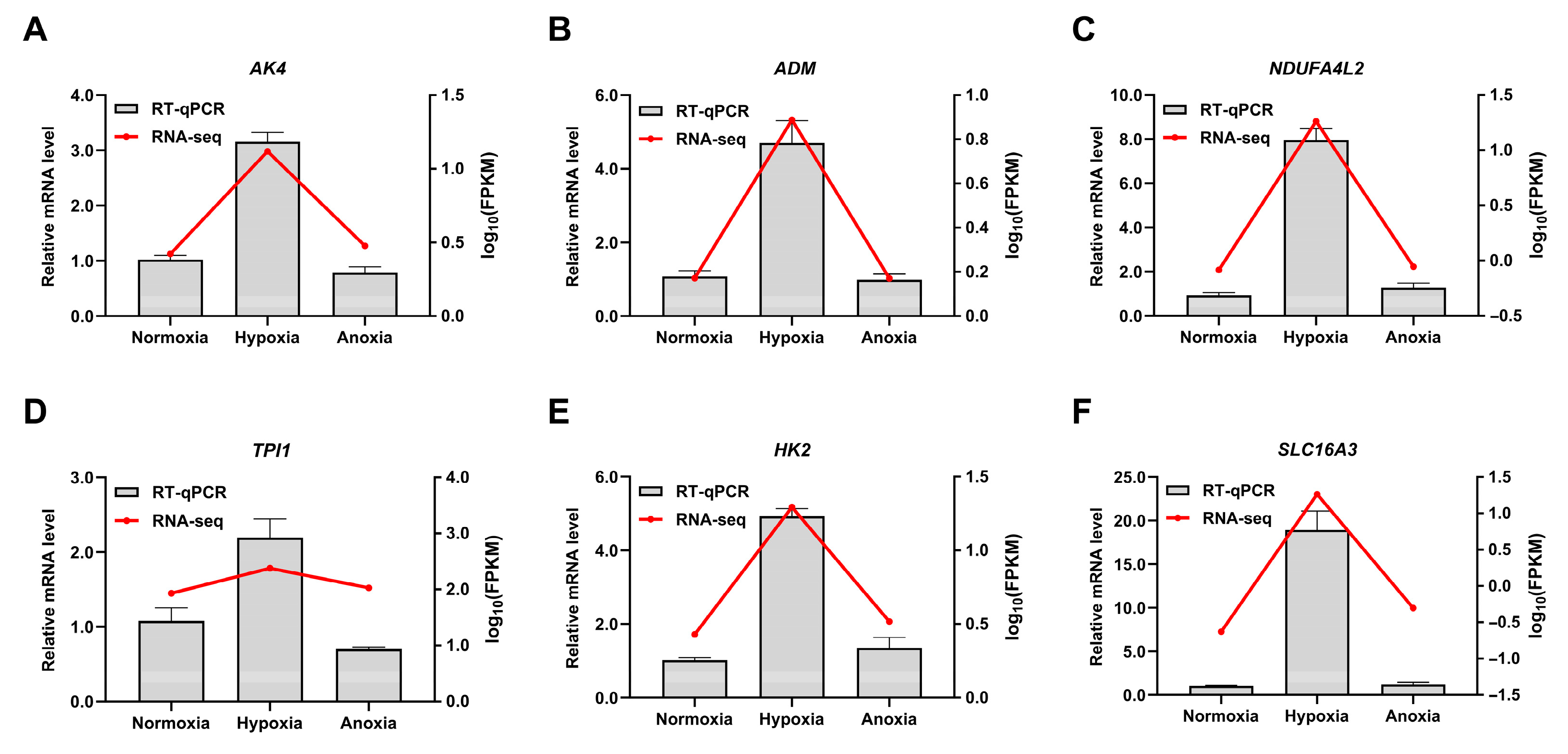 Animals 15 02084 g008