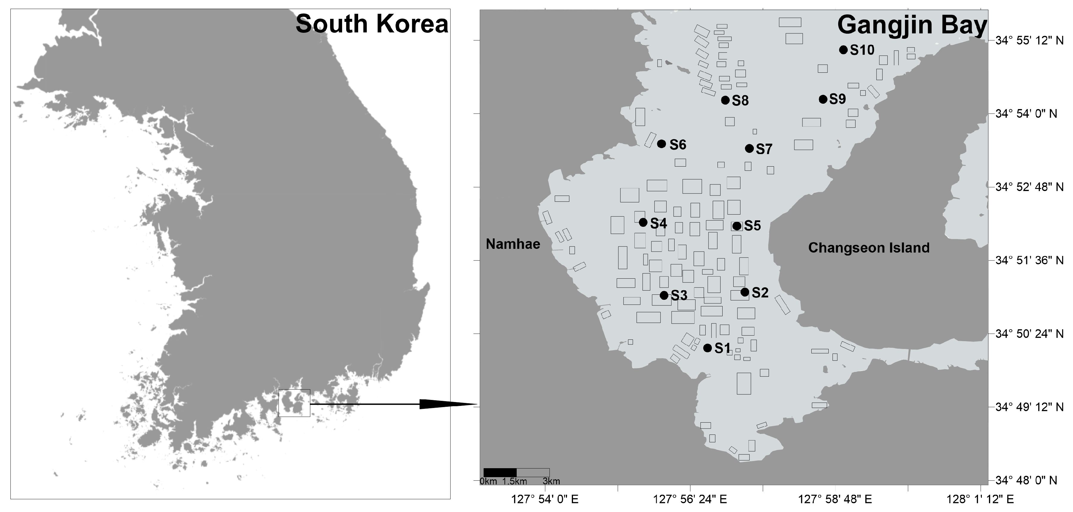 Animals 15 02086 g001
