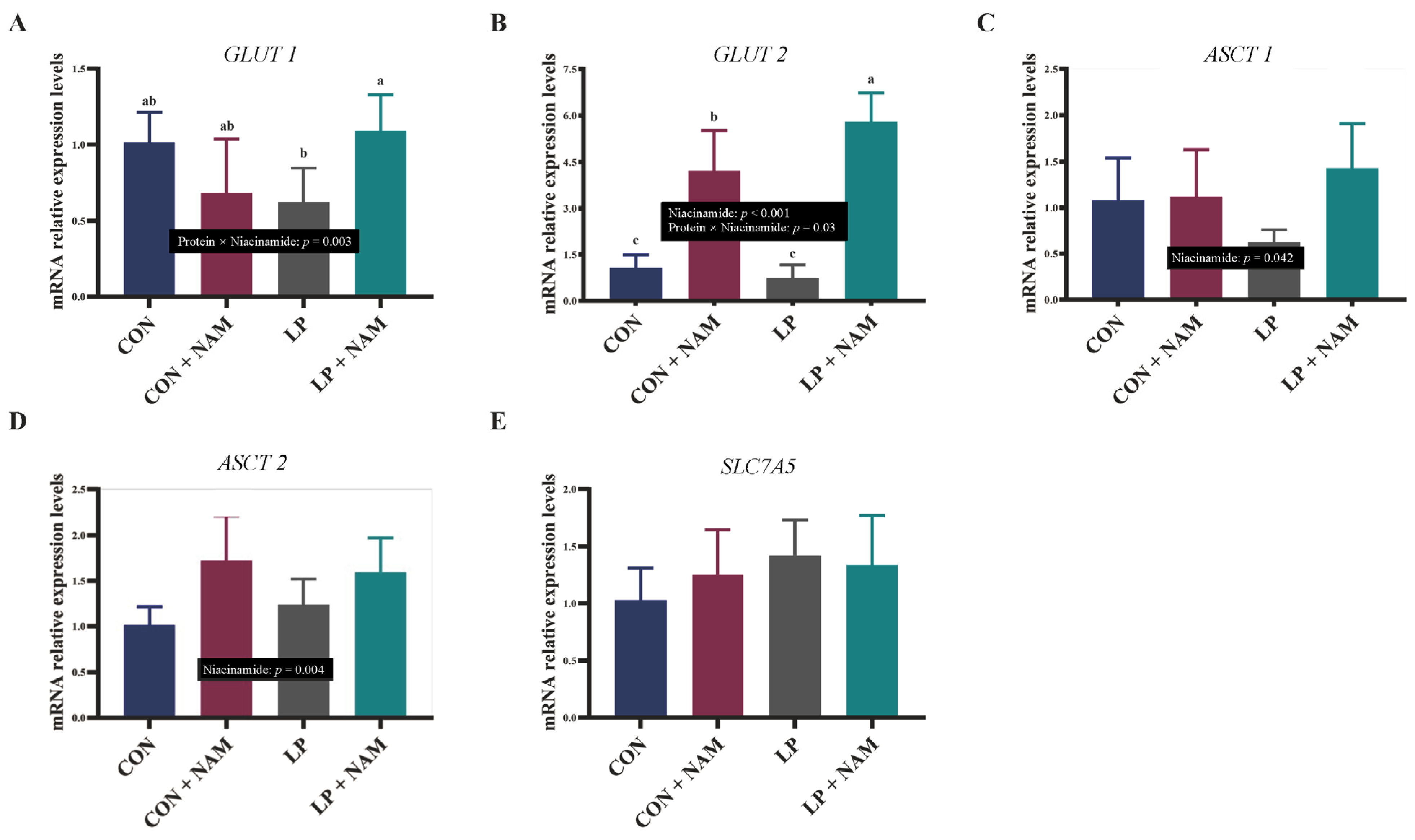 Animals 15 02088 g002