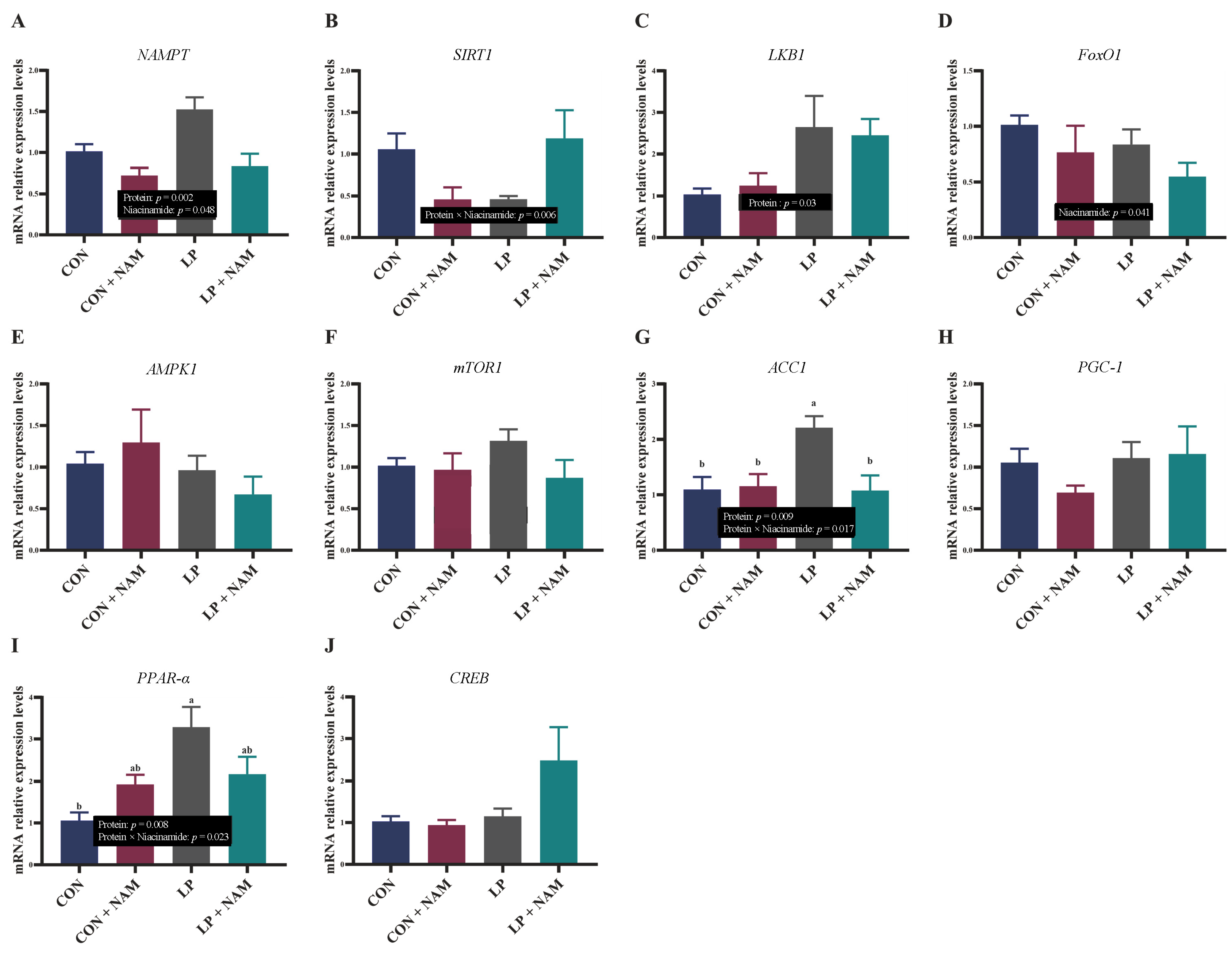 Animals 15 02088 g003