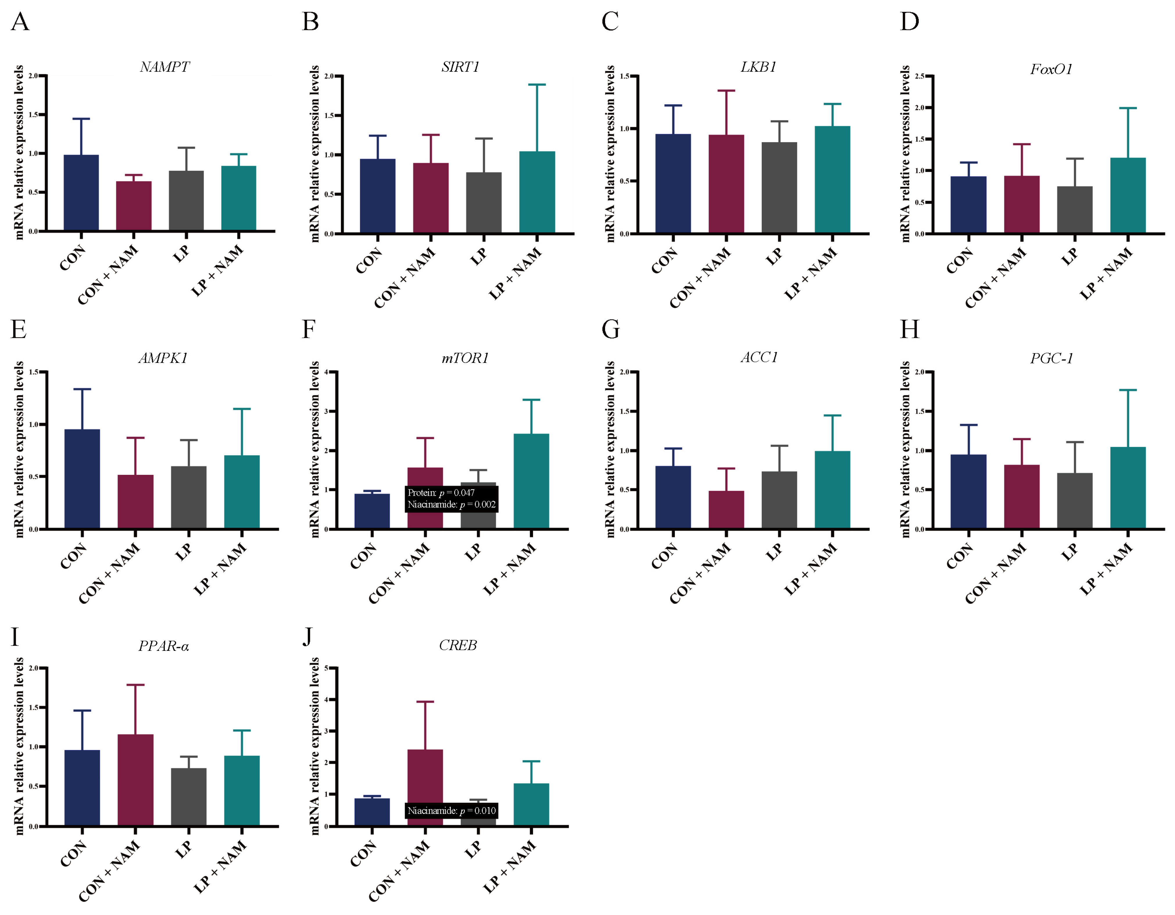 Animals 15 02088 g004