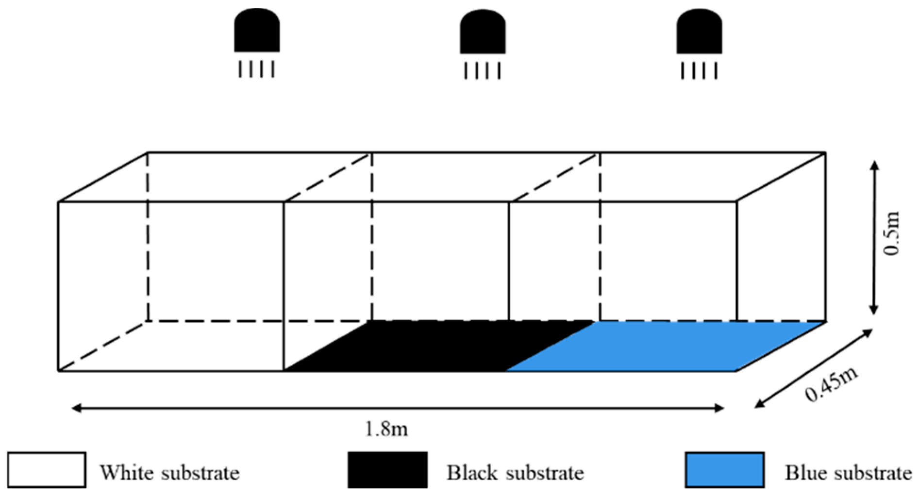 Animals 15 02089 g002