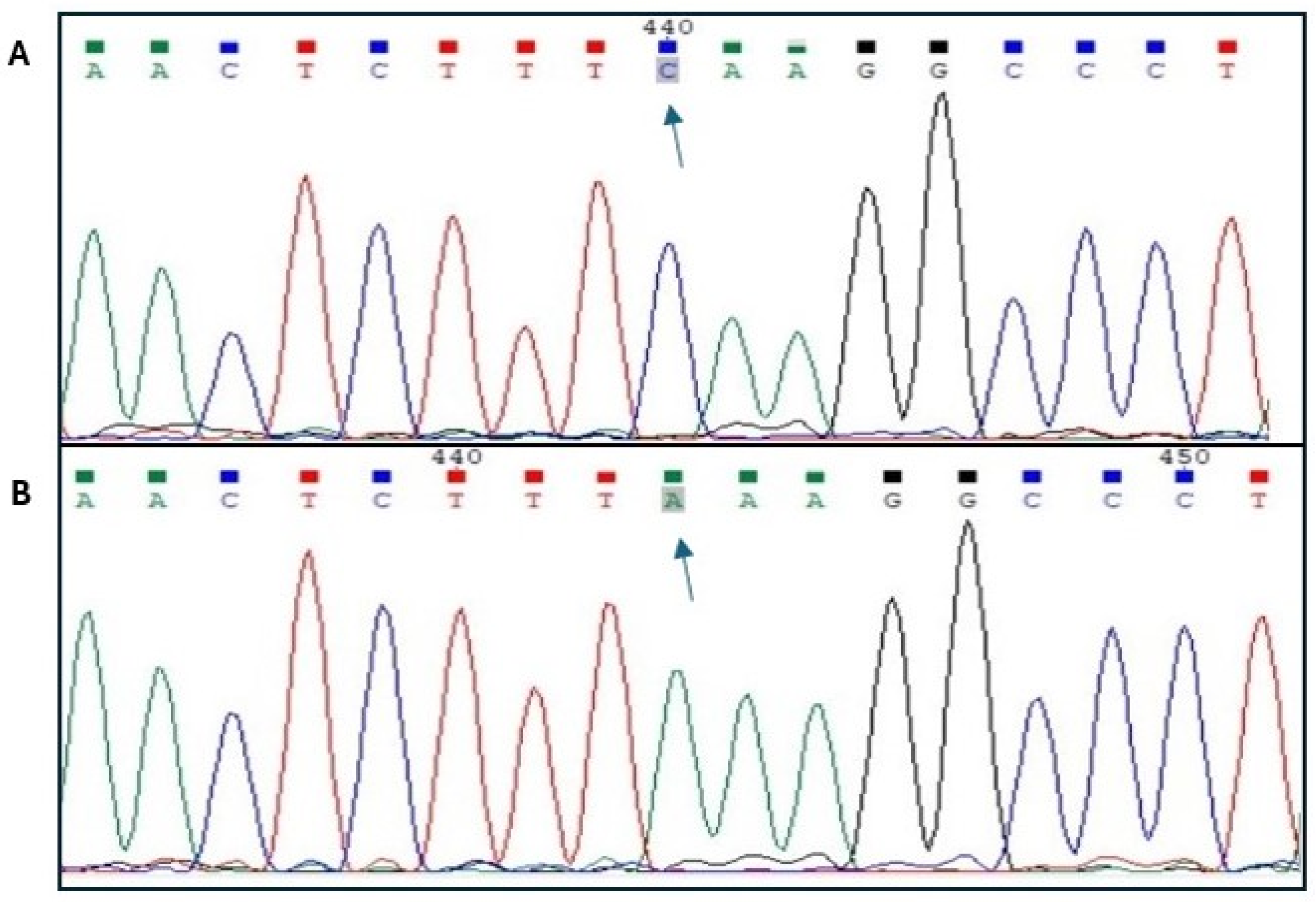 Animals 15 02090 g001 Animals 15 02090 g001