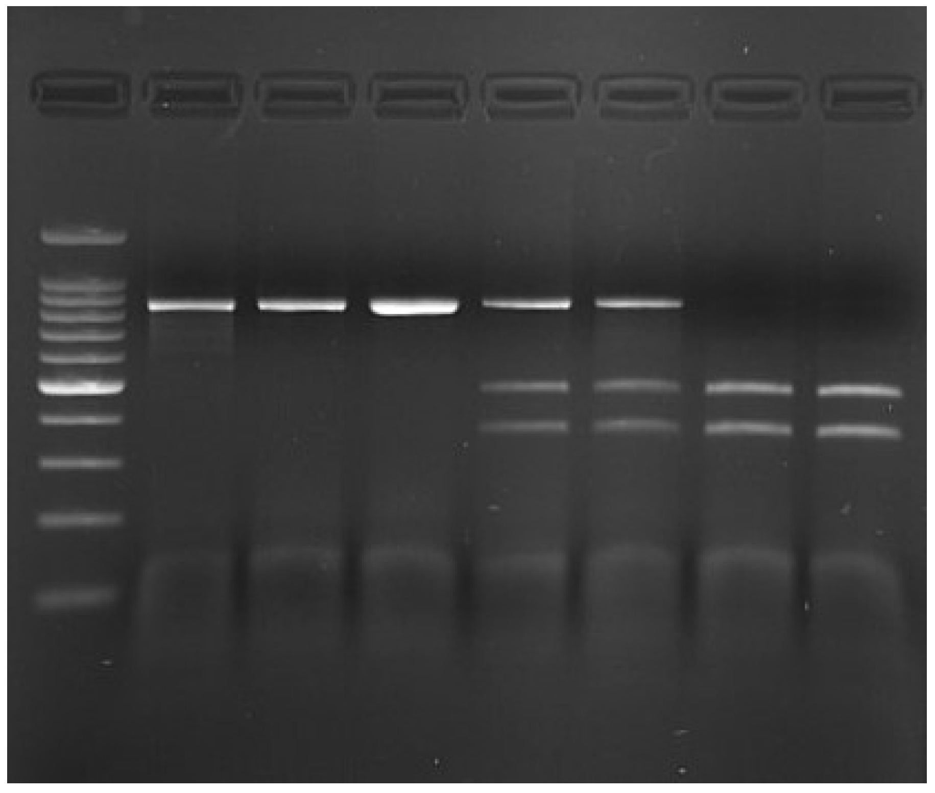 Animals 15 02090 g002 Animals 15 02090 g002