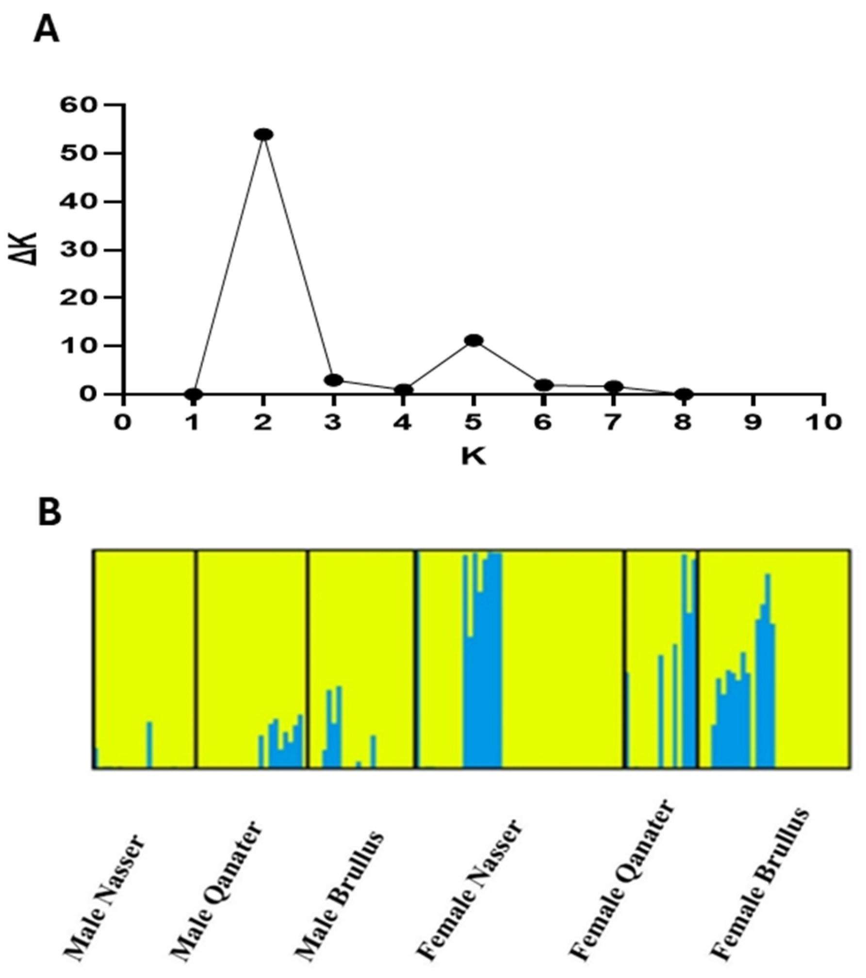 Animals 15 02097 g004