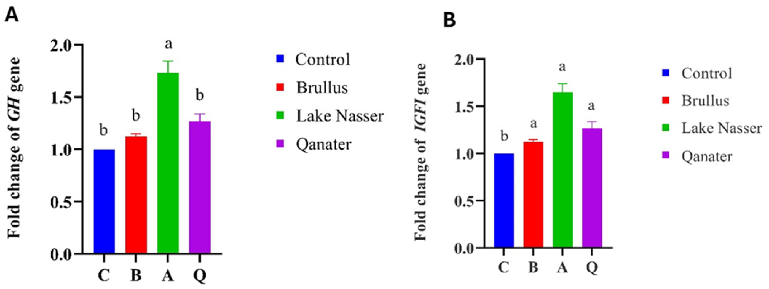 Animals 15 02097 g008
