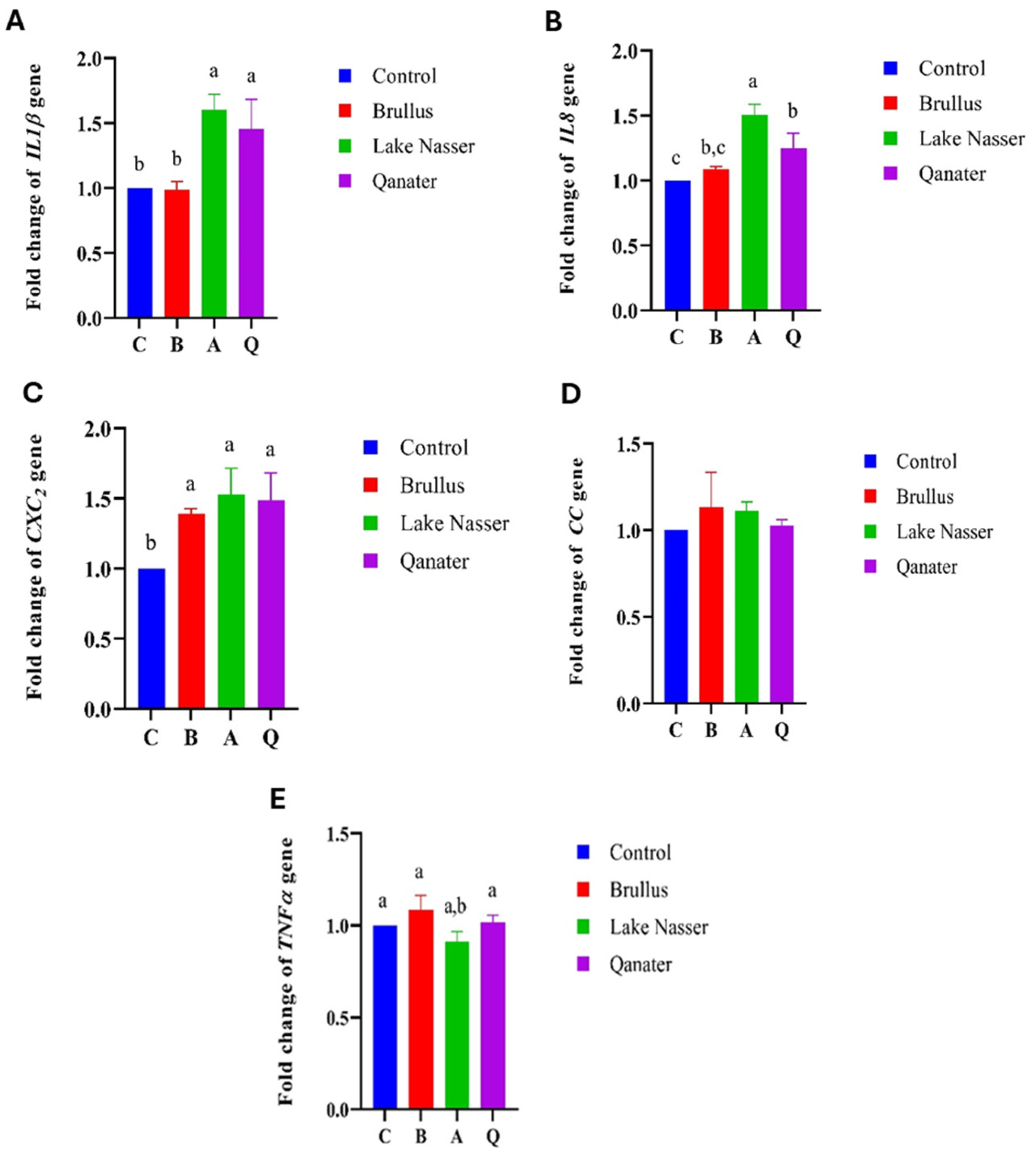 Animals 15 02097 g009